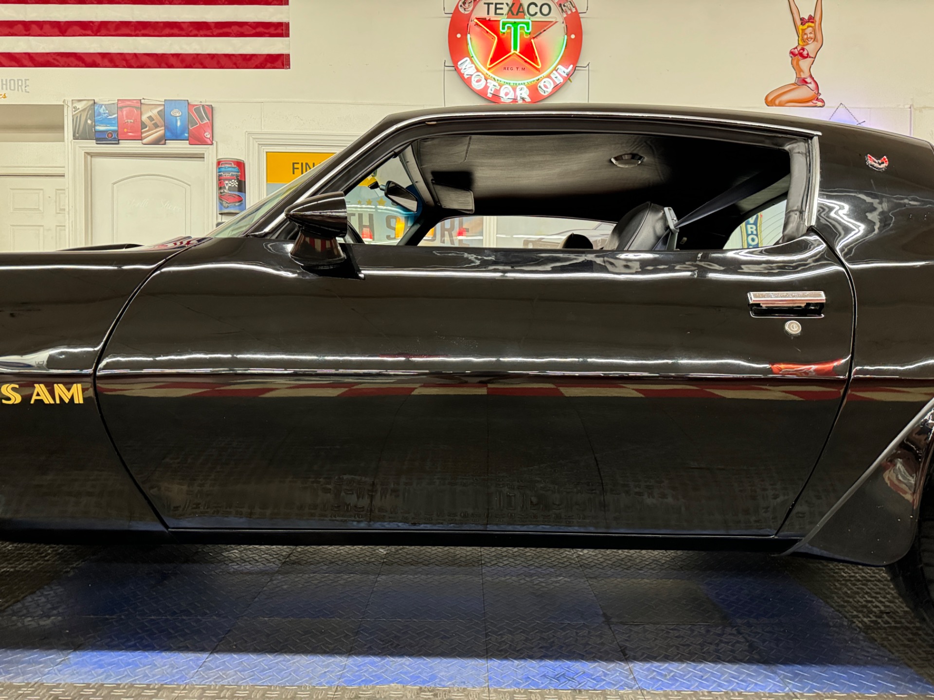 Used 1976 Pontiac Firebird Trans Am-SEE VIDEO | Mundelein, IL