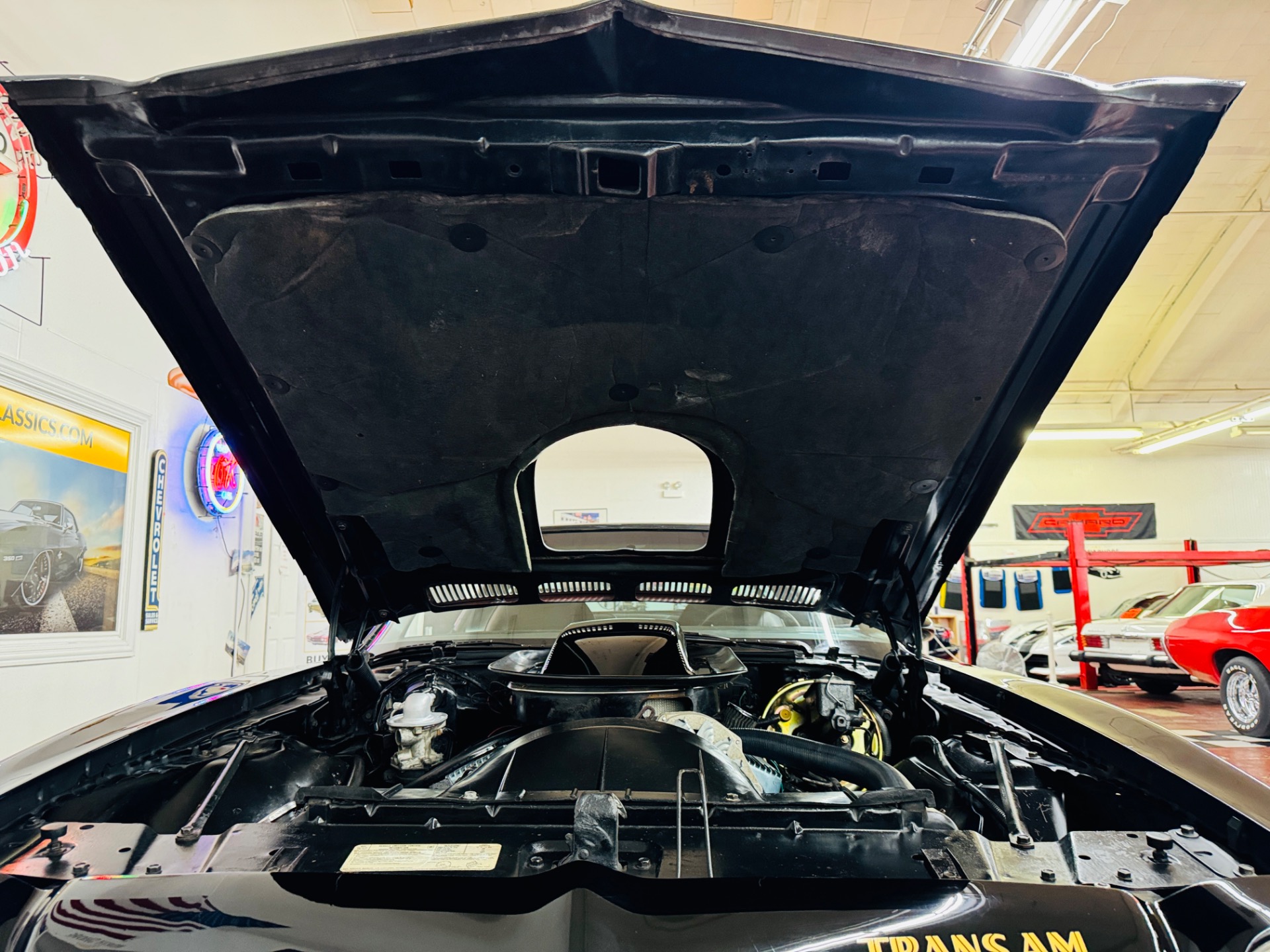 Used 1976 Pontiac Firebird Trans Am-SEE VIDEO | Mundelein, IL