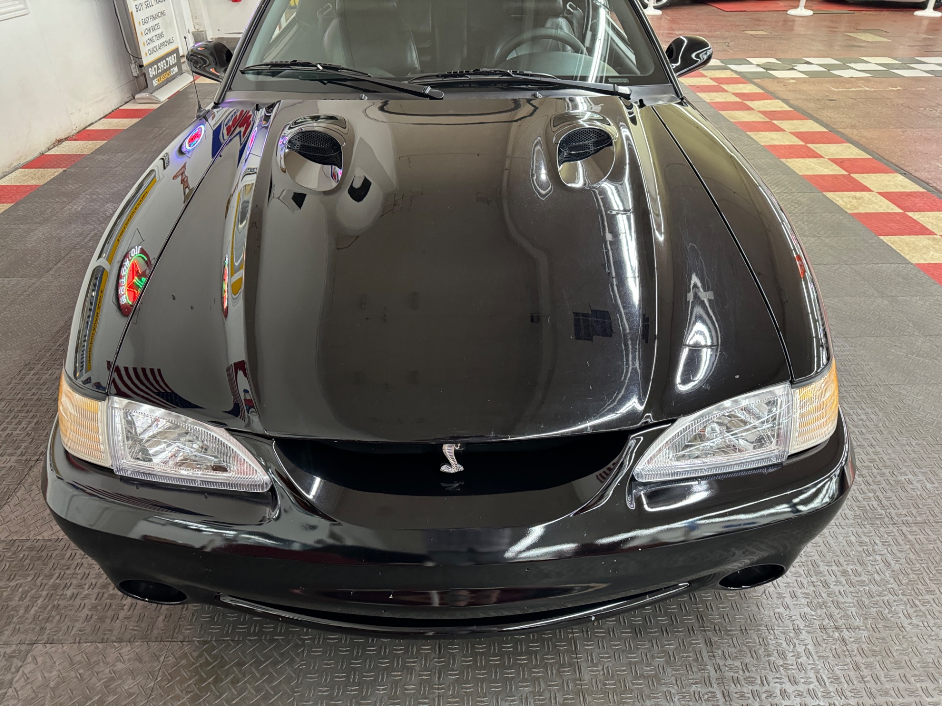 Used 1998 Ford Mustang - SVT COBRA CONVERTIBLE - 5 SPEED - | Mundelein, IL