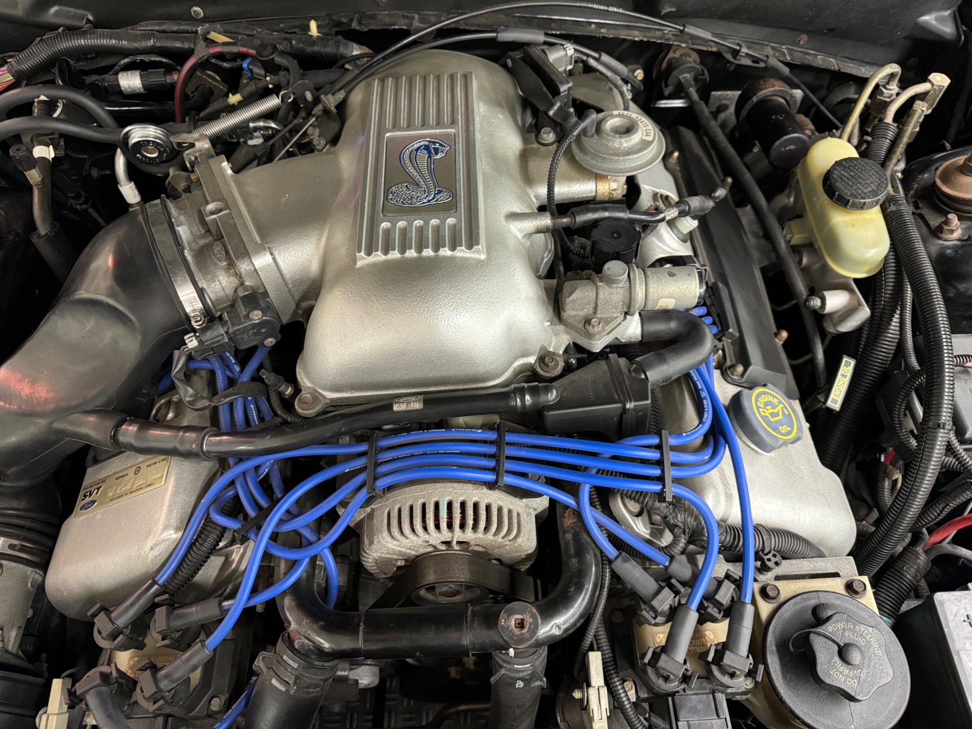 Used 1998 Ford Mustang - SVT COBRA CONVERTIBLE - 5 SPEED - | Mundelein, IL