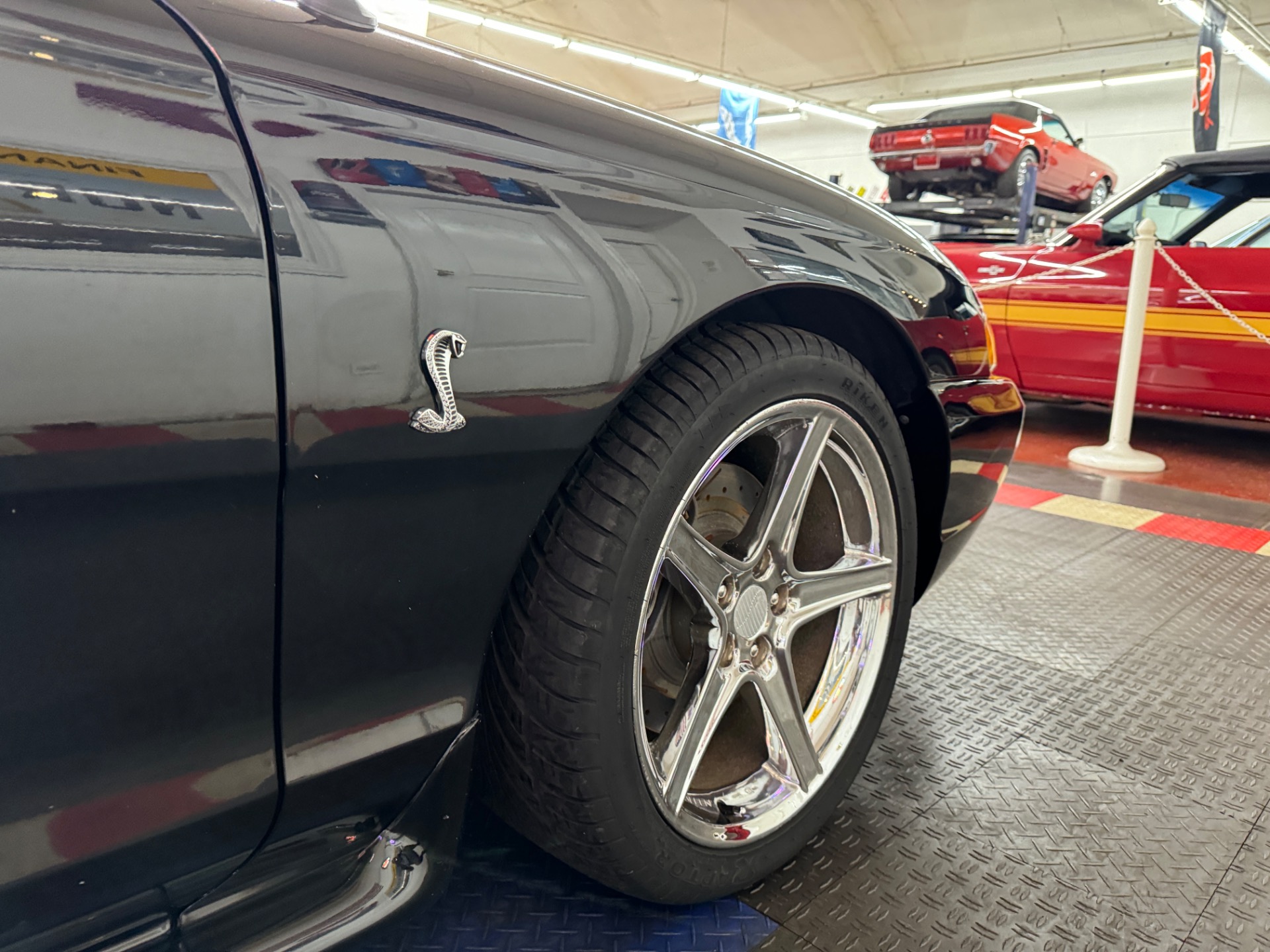 Used 1998 Ford Mustang - SVT COBRA CONVERTIBLE - 5 SPEED - | Mundelein, IL