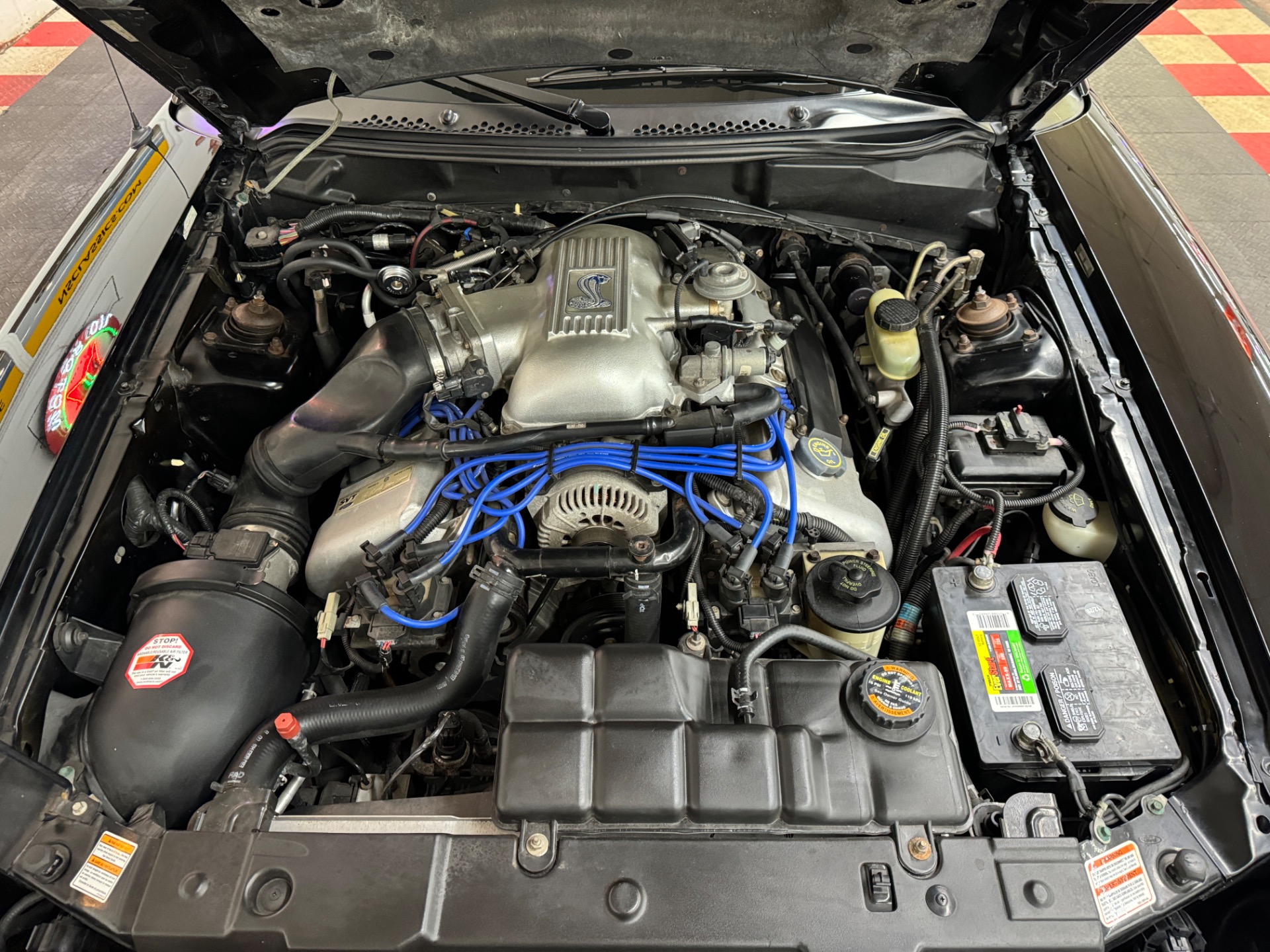 Used 1998 Ford Mustang - SVT COBRA CONVERTIBLE - 5 SPEED - | Mundelein, IL