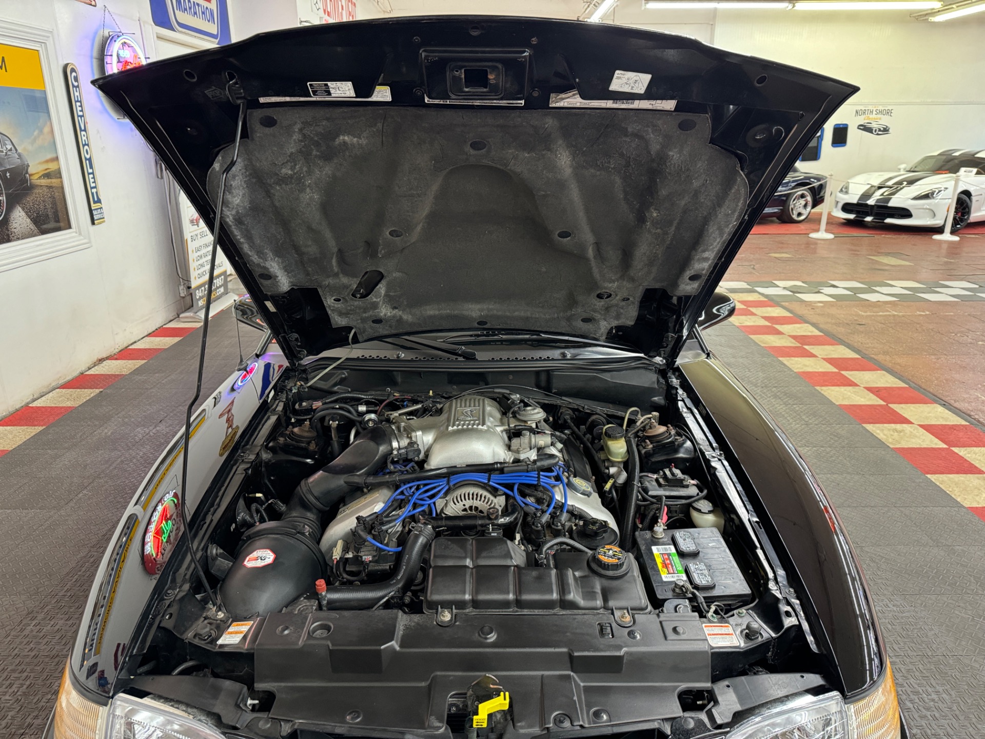Used 1998 Ford Mustang - SVT COBRA CONVERTIBLE - 5 SPEED - | Mundelein, IL