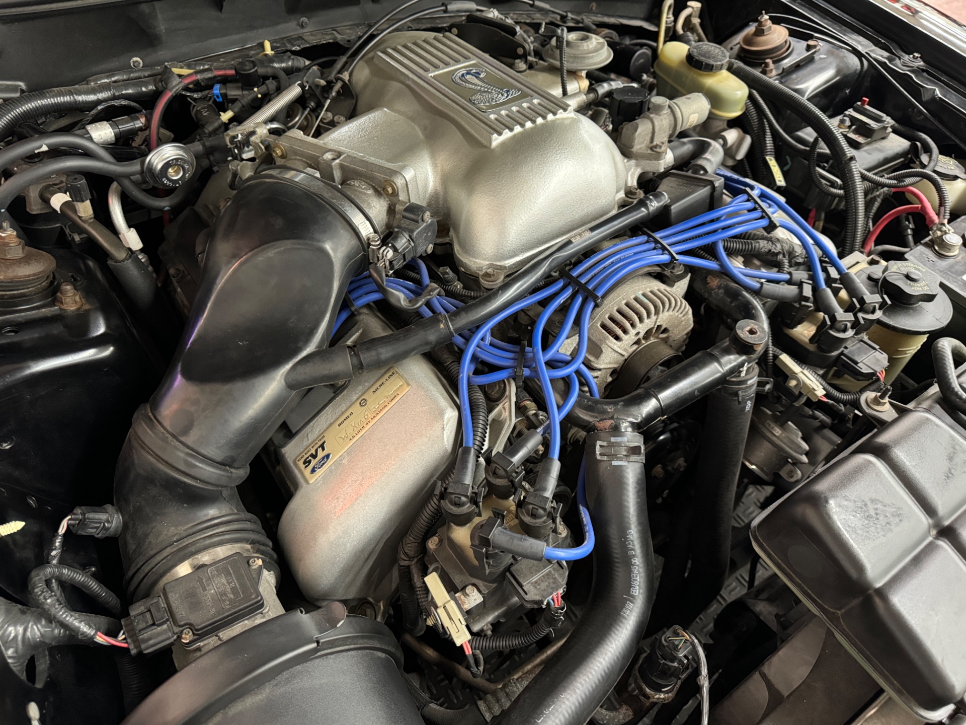Used 1998 Ford Mustang - SVT COBRA CONVERTIBLE - 5 SPEED - | Mundelein, IL
