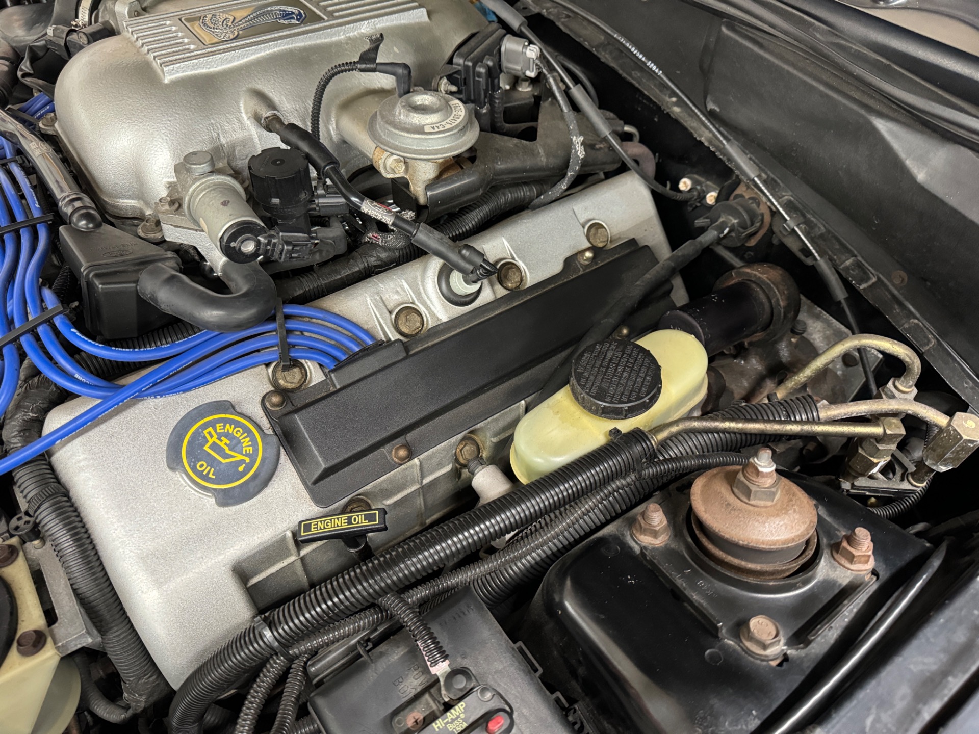 Used 1998 Ford Mustang - SVT COBRA CONVERTIBLE - 5 SPEED - | Mundelein, IL
