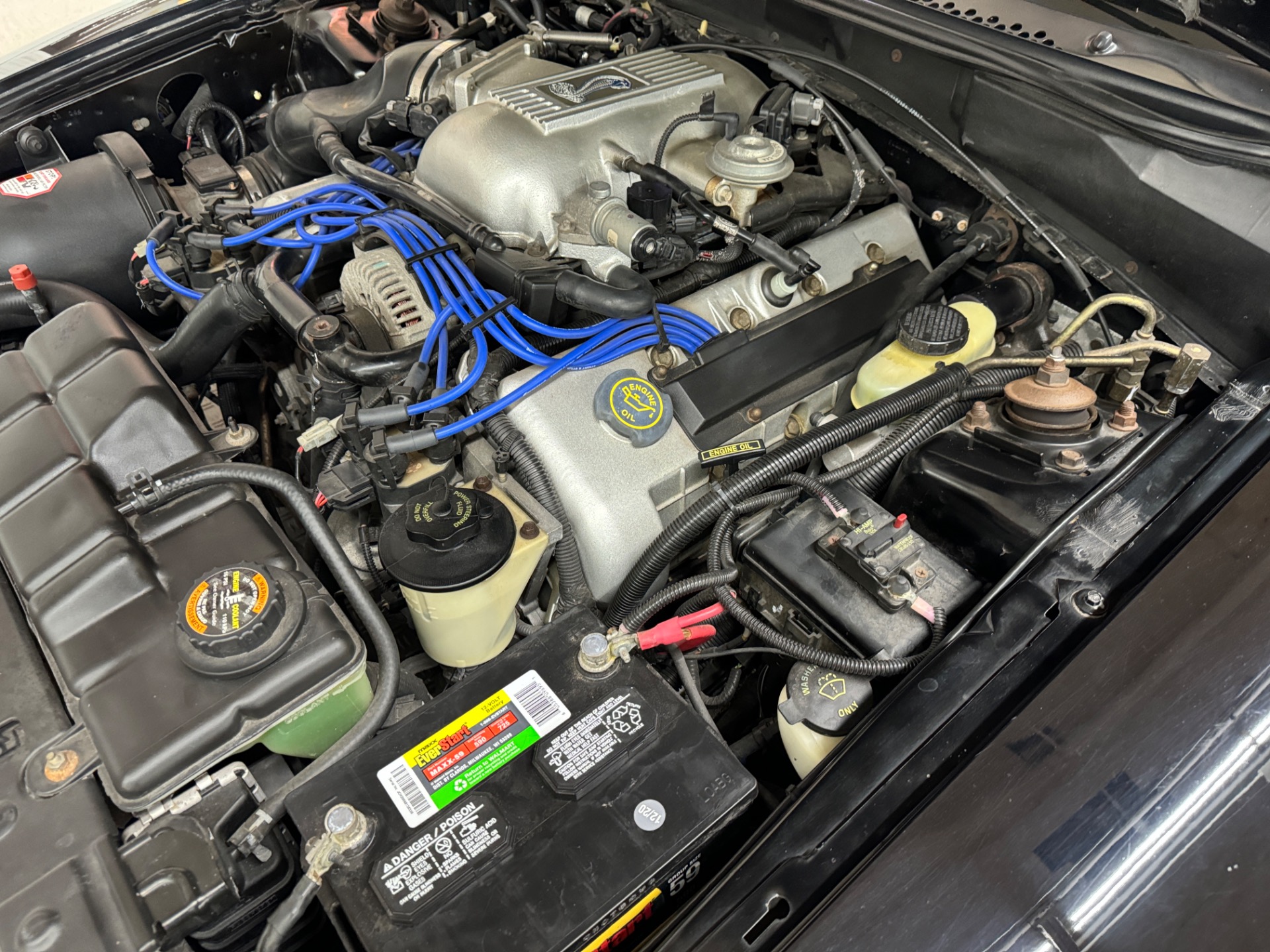 Used 1998 Ford Mustang - SVT COBRA CONVERTIBLE - 5 SPEED - | Mundelein, IL