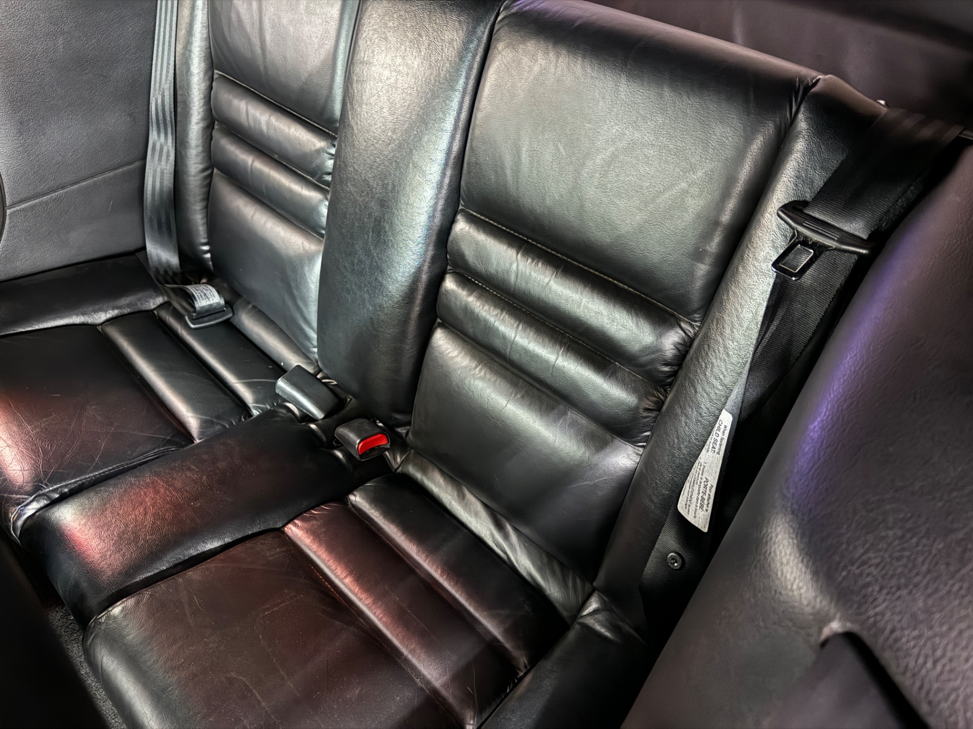 Used 1998 Ford Mustang - SVT COBRA CONVERTIBLE - 5 SPEED - | Mundelein, IL