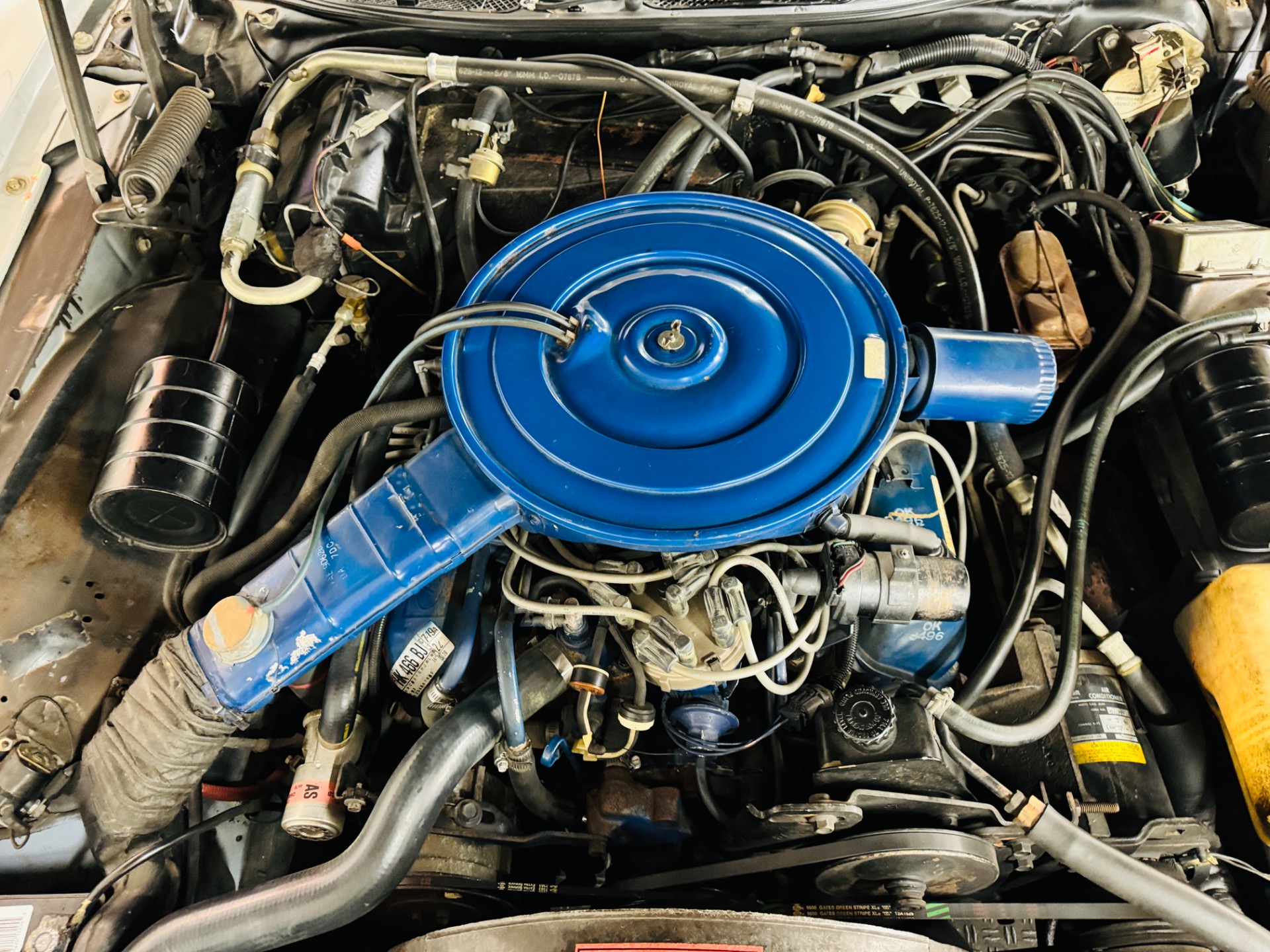 Used 1977 LINCOLN TOWN CAR Only 45k Original Miles Survivor-SEE VIDEO | St. Petersburg, FL