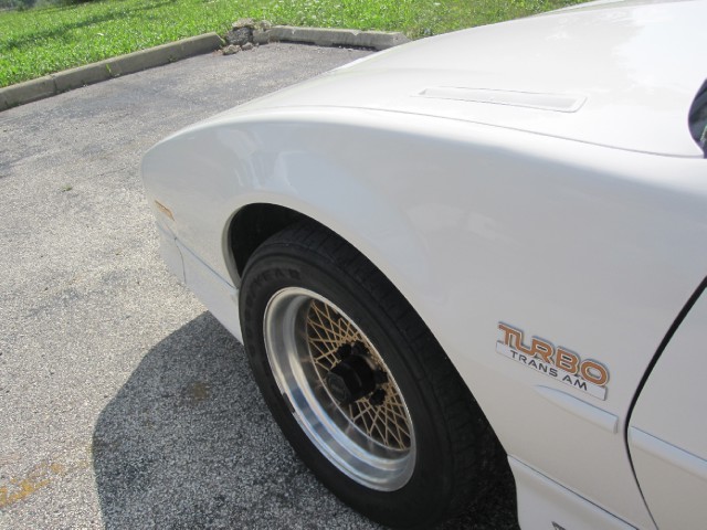 Used 1989 Pontiac Trans Am V6-Collectors Edition-Price Just Lowered | Mundelein, IL
