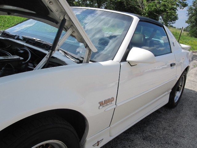 Used 1989 Pontiac Trans Am V6-Collectors Edition-Price Just Lowered | Mundelein, IL