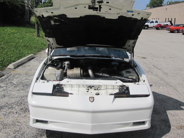 Used 1989 Pontiac Trans Am V6-Collectors Edition-Price Just Lowered | Mundelein, IL