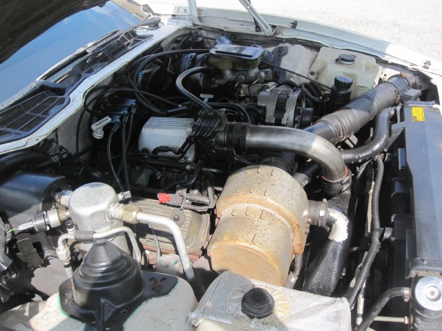 Used 1989 Pontiac Trans Am V6-Collectors Edition-Price Just Lowered | Mundelein, IL