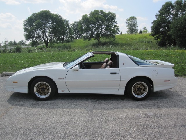Used 1989 Pontiac Trans Am V6-Collectors Edition-Price Just Lowered | Mundelein, IL