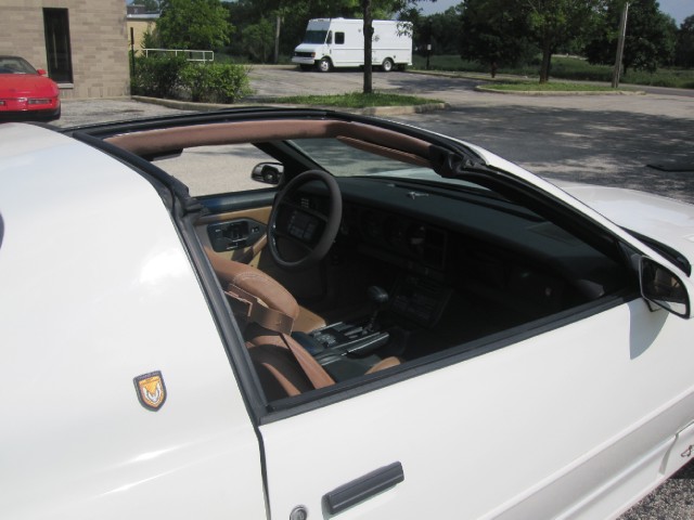 Used 1989 Pontiac Trans Am V6-Collectors Edition-Price Just Lowered | Mundelein, IL