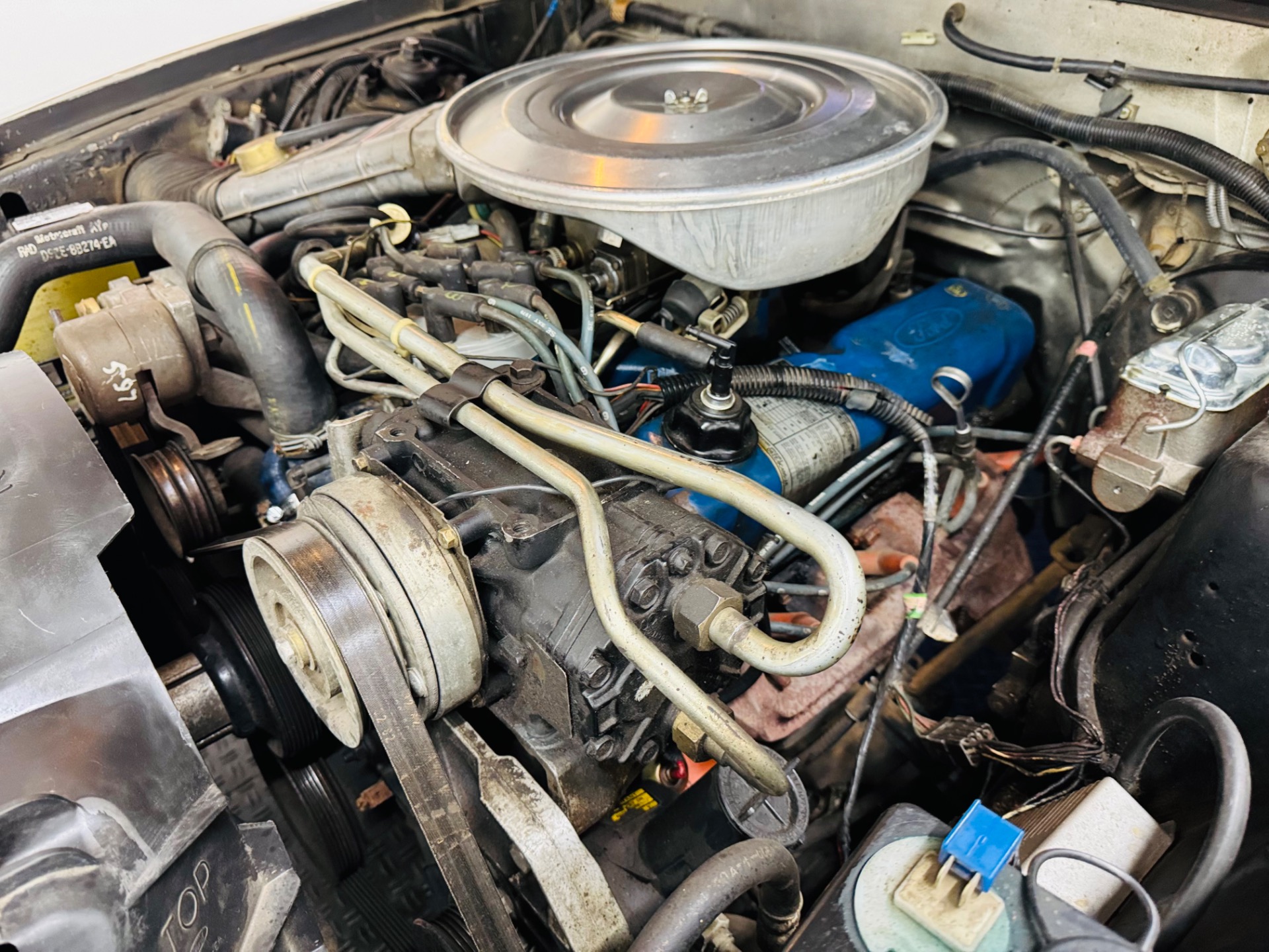 Used 1979 FORD Mustang 1 Owner All Original 43K Miles-SEE VIDEO | Mundelein, IL