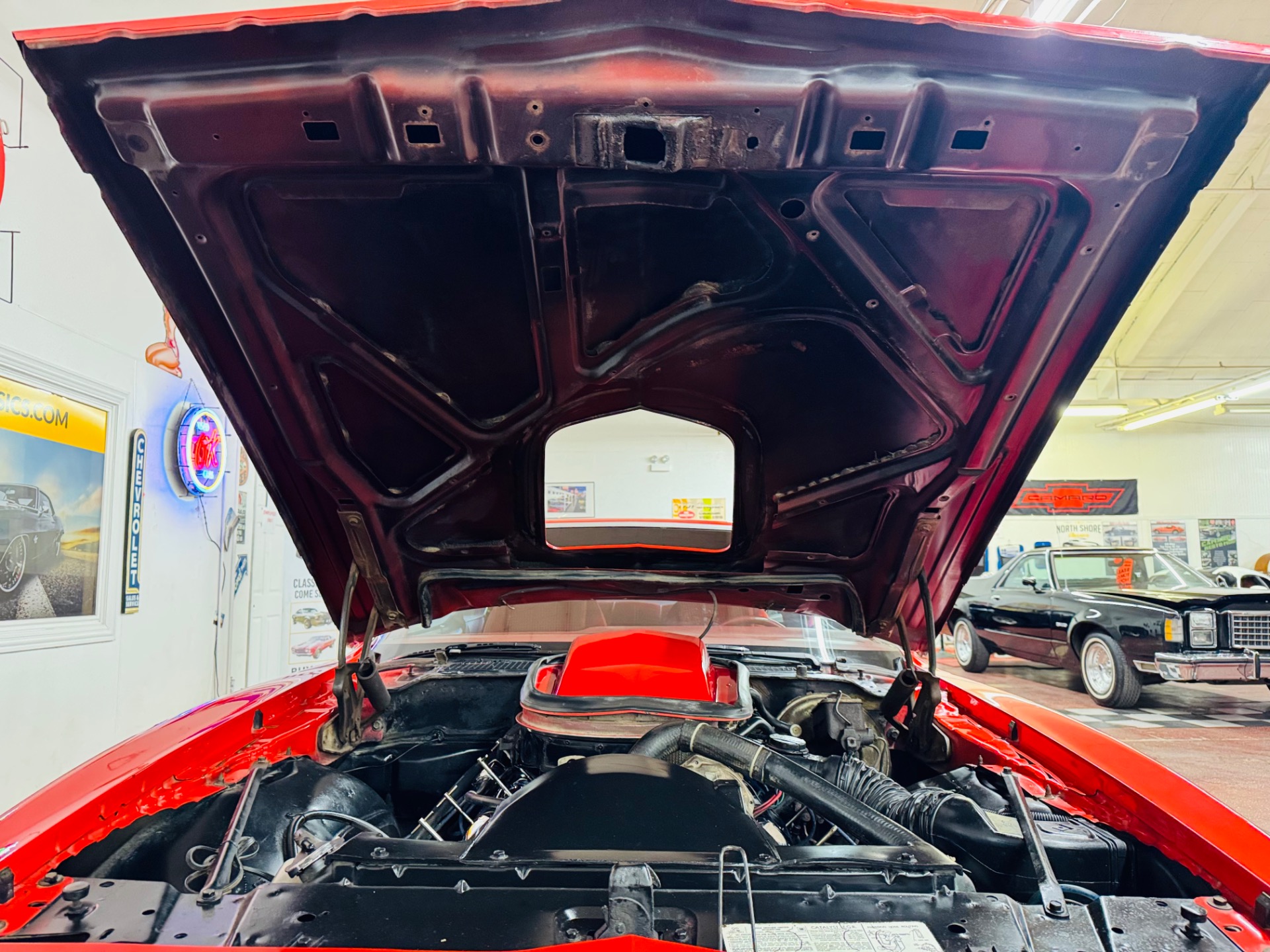Used 1979 Pontiac Firebird Trans Am-SEE VIDEO | Mundelein, IL