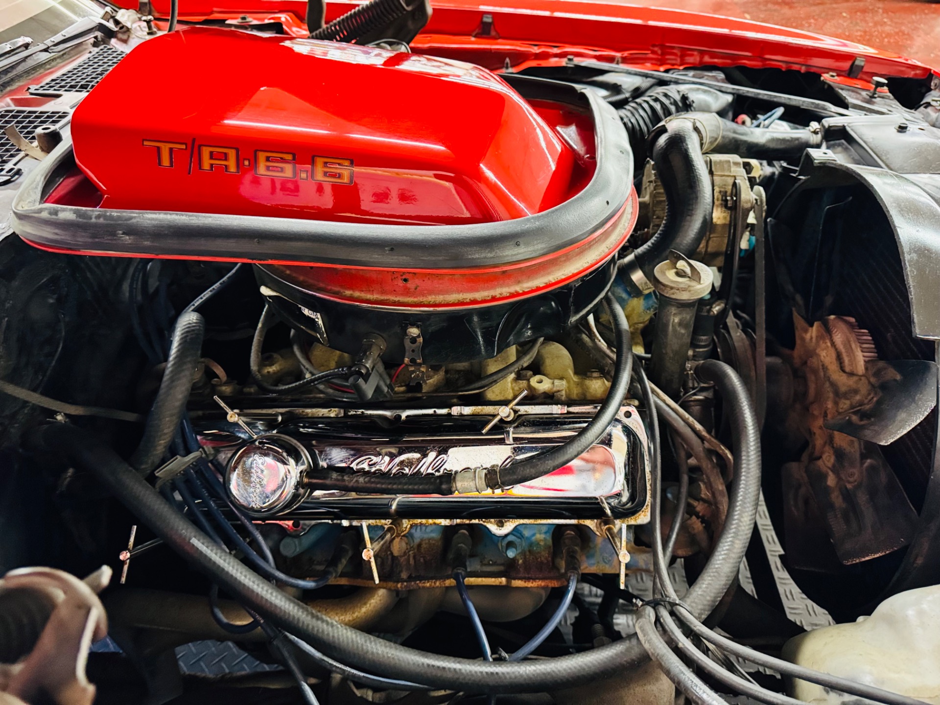 Used 1979 Pontiac Firebird Trans Am-SEE VIDEO | Mundelein, IL
