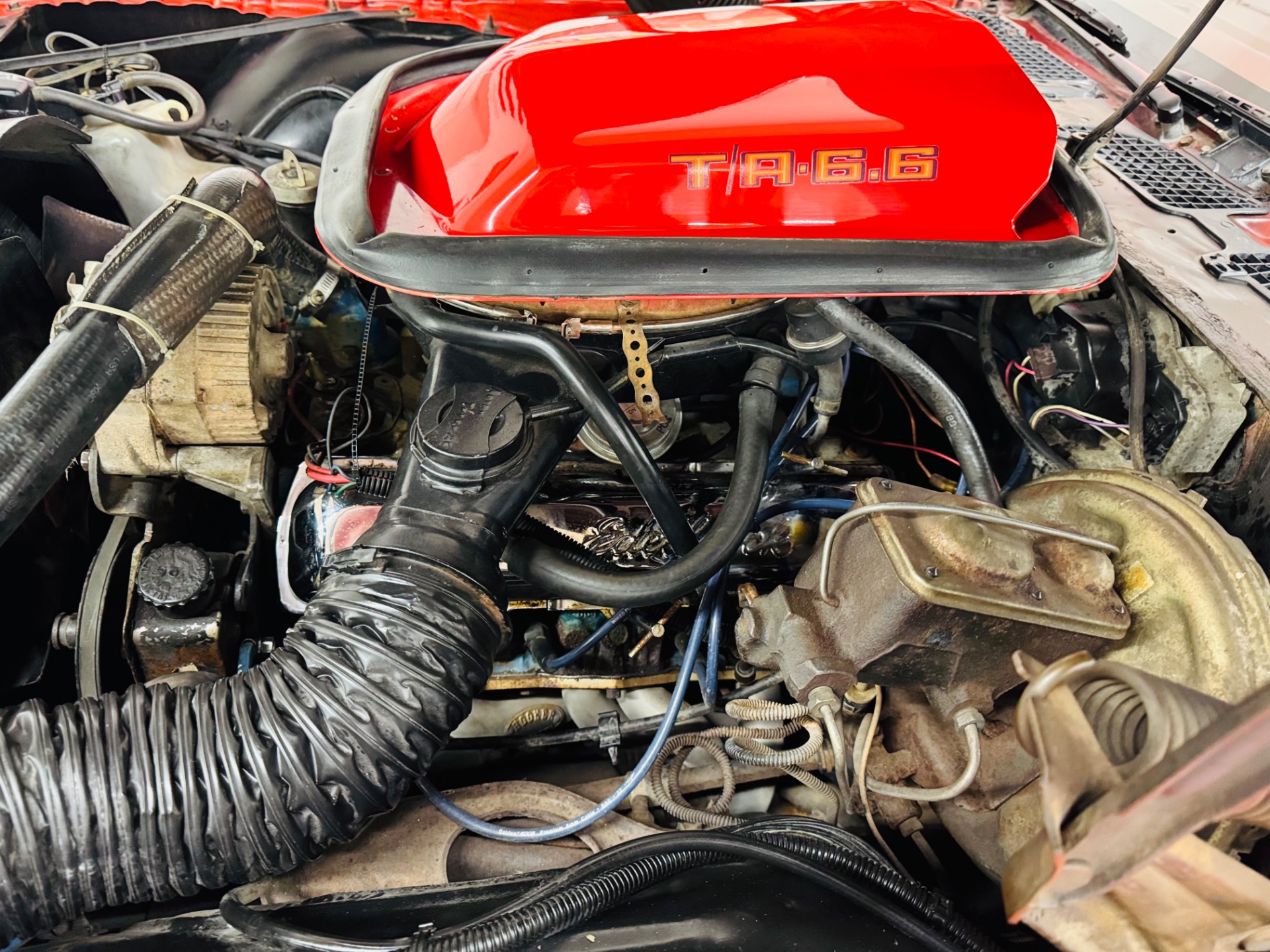 Used 1979 Pontiac Firebird Trans Am-SEE VIDEO | Mundelein, IL