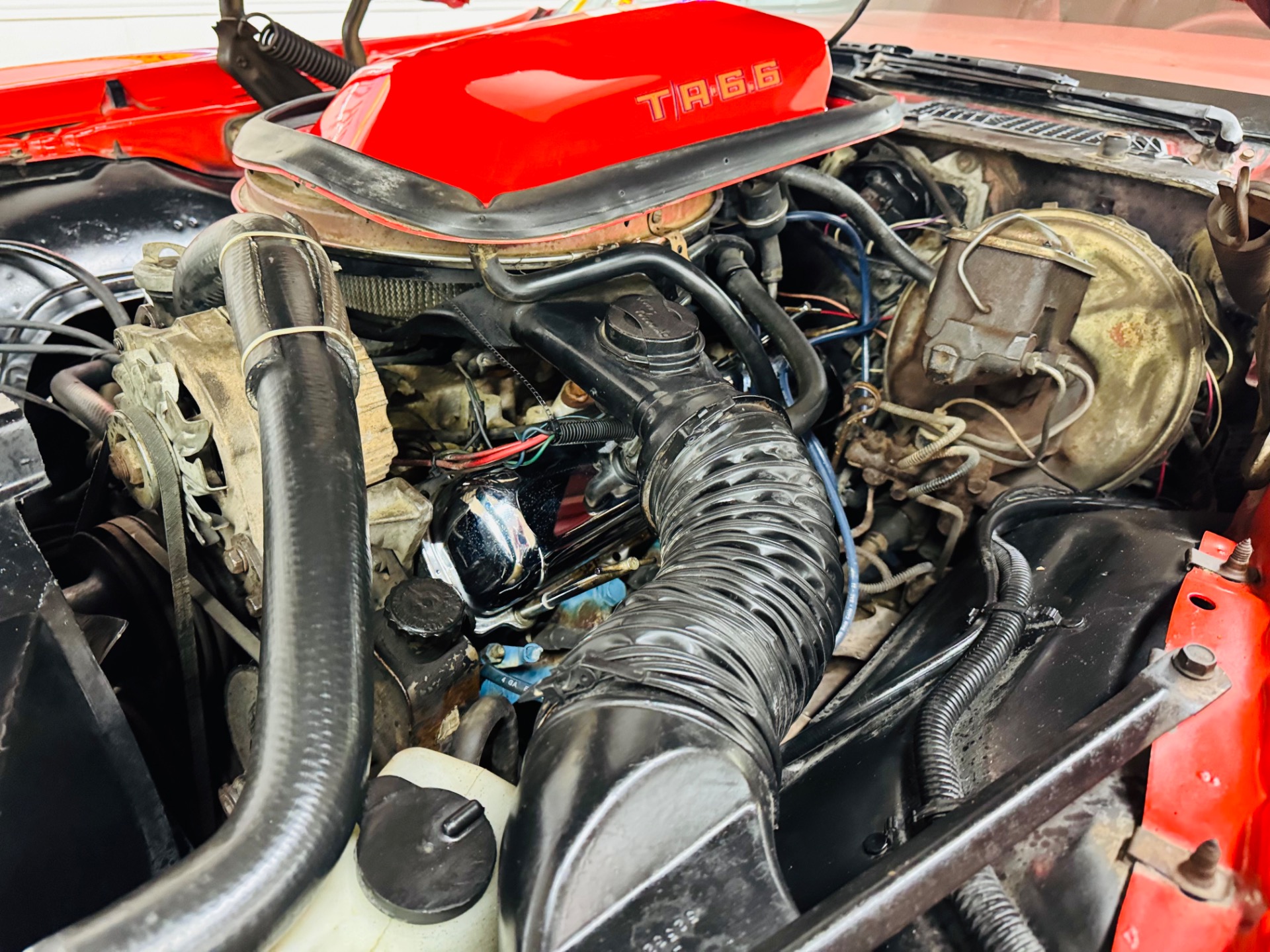 Used 1979 Pontiac Firebird Trans Am-SEE VIDEO | Mundelein, IL