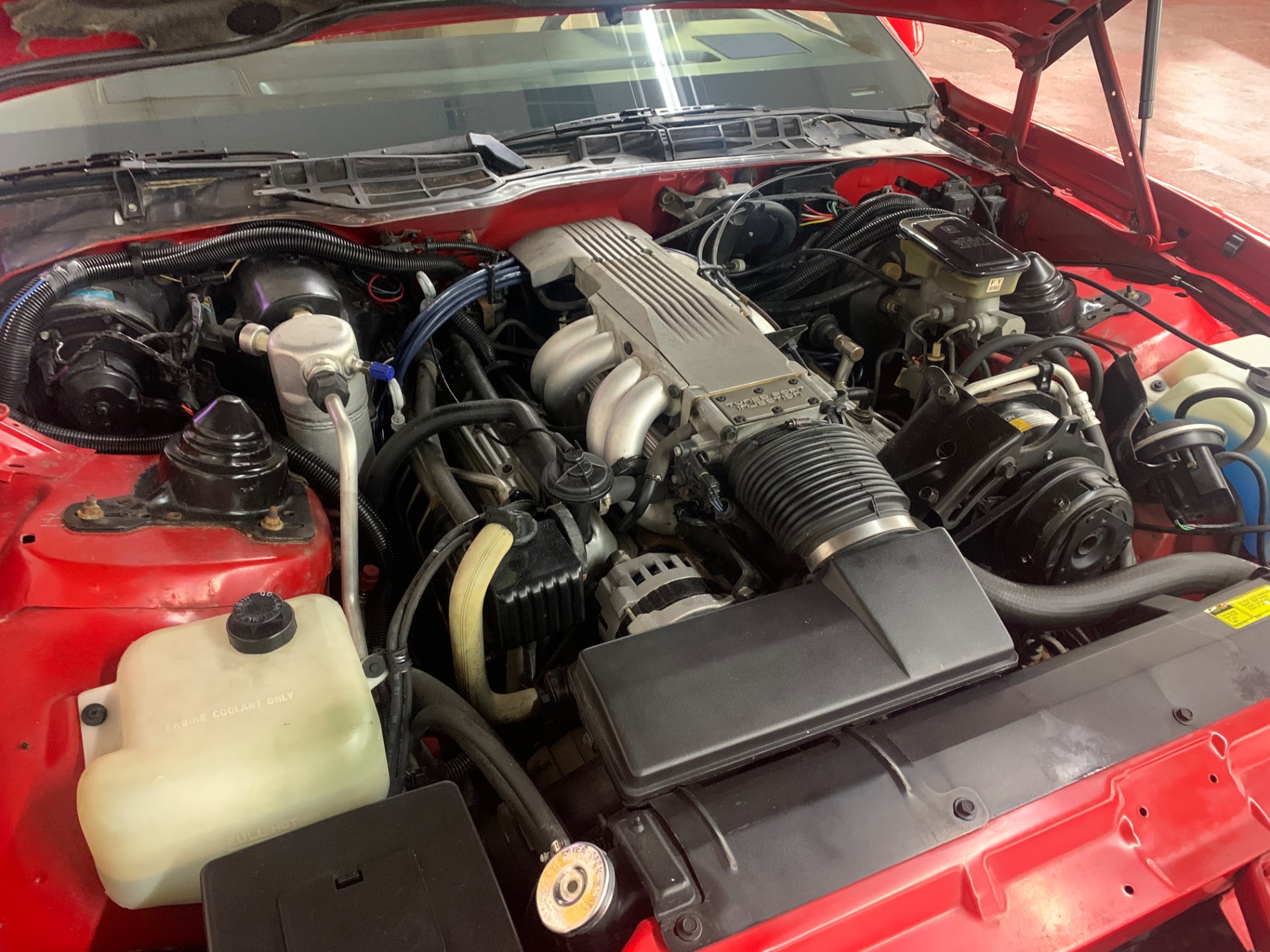 1987 Pontiac Firebird 23