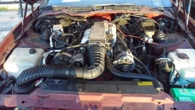 Used 1989 Pontiac Trans Am GTA | Mundelein, IL