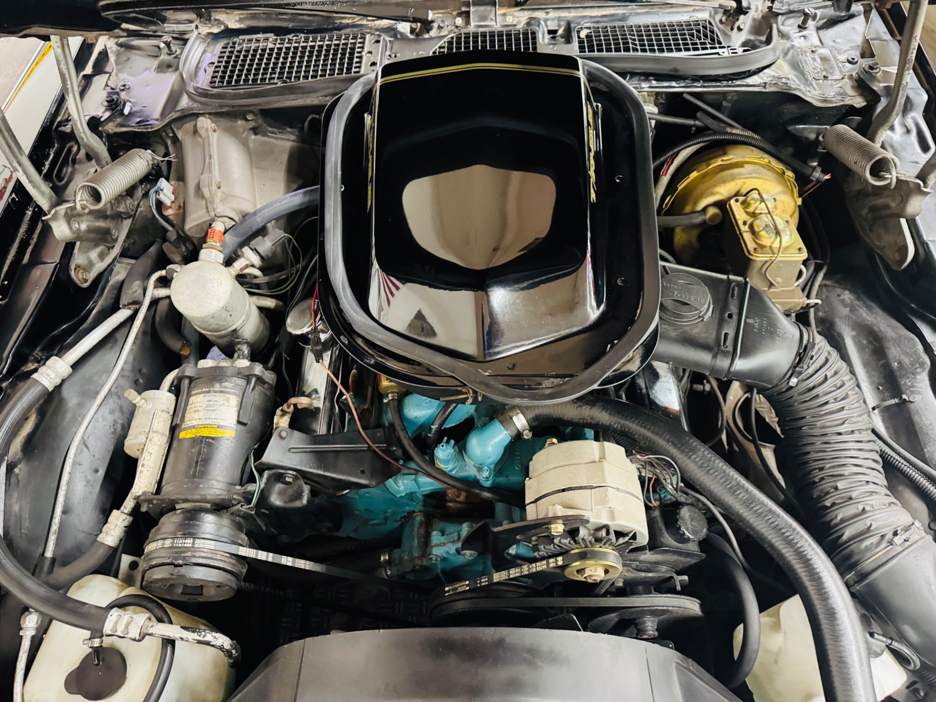 Used 1979 Pontiac Firebird - TRANS AM - 4 SPEED -SEE VIDEO | Mundelein, IL