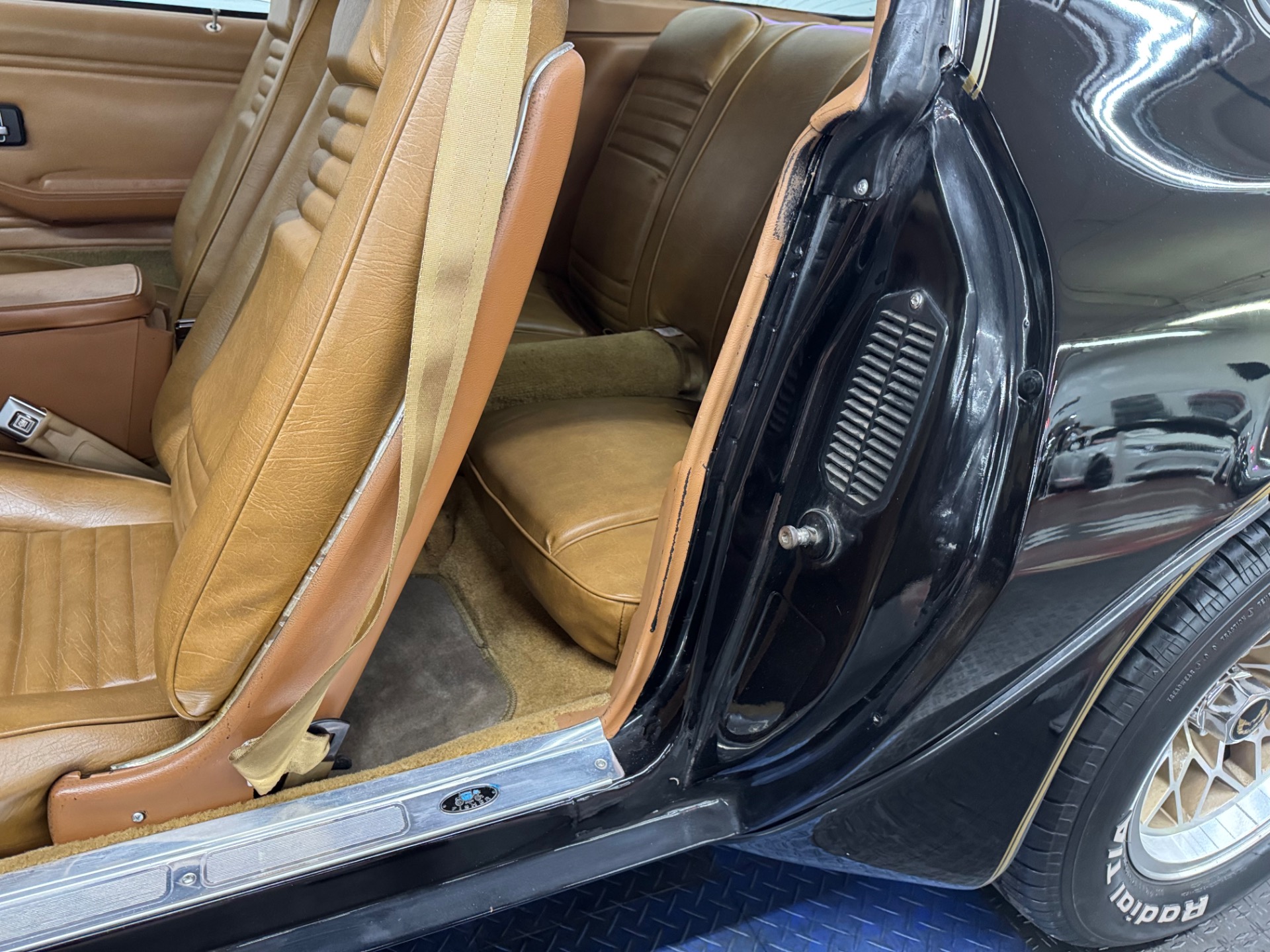 Used 1979 Pontiac Firebird - TRANS AM - 4 SPEED -SEE VIDEO | Mundelein, IL
