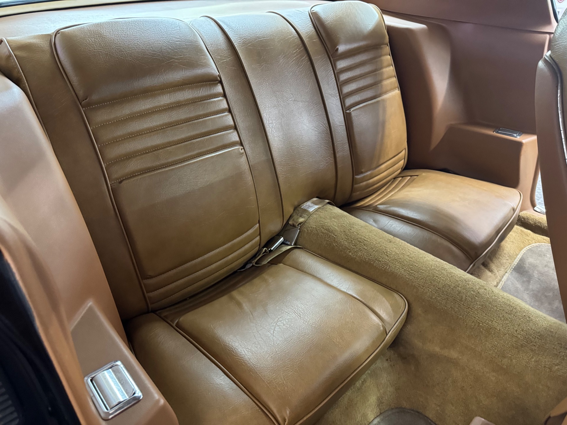 Used 1979 Pontiac Firebird - TRANS AM - 4 SPEED -SEE VIDEO | Mundelein, IL