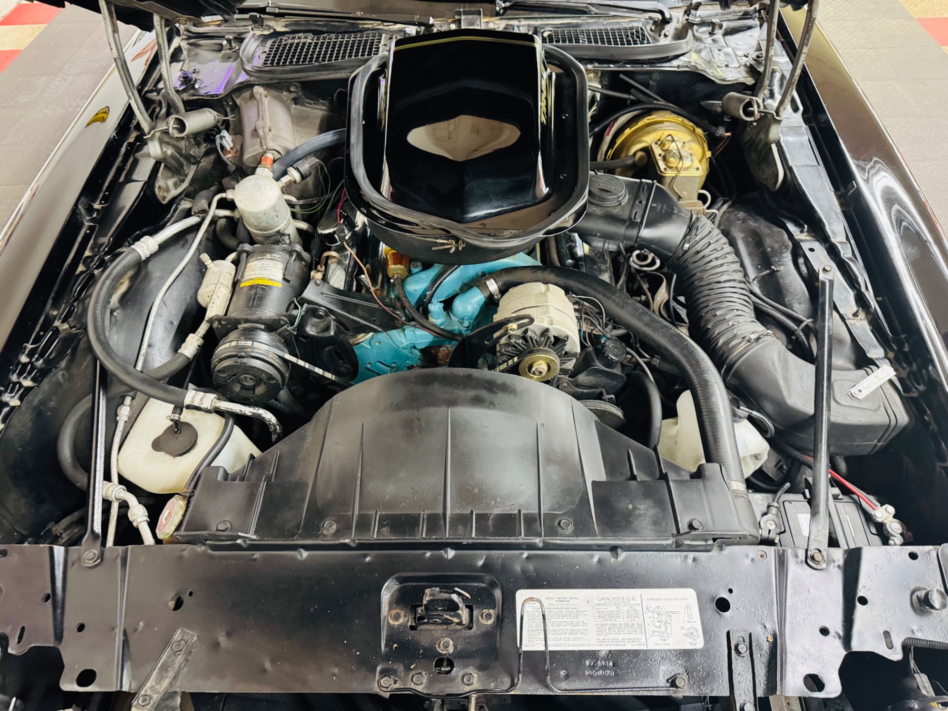 Used 1979 Pontiac Firebird - TRANS AM - 4 SPEED -SEE VIDEO | Mundelein, IL