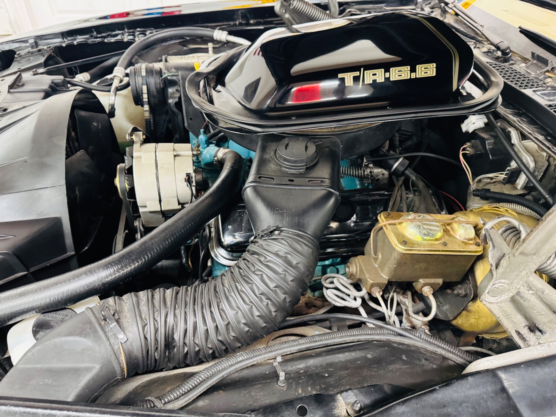 Used 1979 Pontiac Firebird - TRANS AM - 4 SPEED -SEE VIDEO | Mundelein, IL