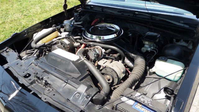 Used 1987 Oldsmobile 442 Super Clean-SEE VIDEO | Mundelein, IL