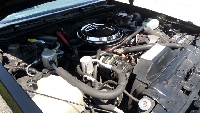 Used 1987 Oldsmobile 442 Super Clean-SEE VIDEO | Mundelein, IL