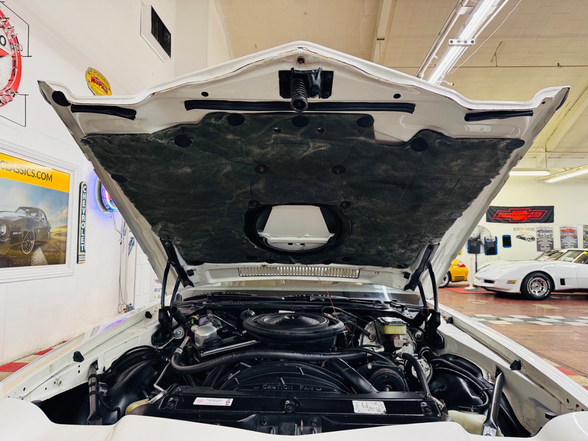 Used 1981 Chevrolet Camaro - Z/28 - 4 SPEED MANUAL - T-TOPS-SEE VIDEO | Mundelein, IL