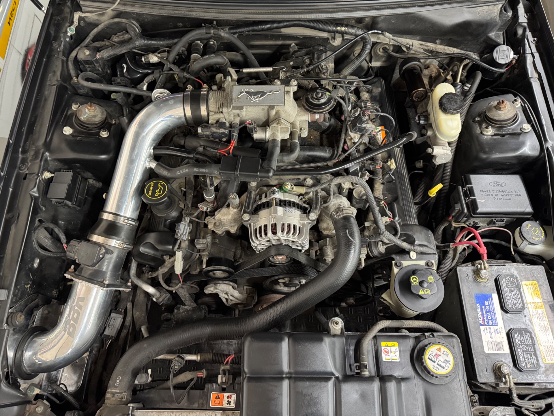 Used 2004 Ford Mustang - GT Deluxe - Coupe -SEE VIDEO | Mundelein, IL