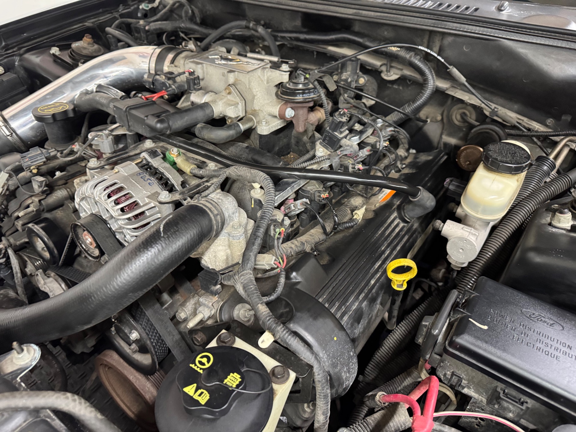 Used 2004 Ford Mustang - GT Deluxe - Coupe -SEE VIDEO | Mundelein, IL