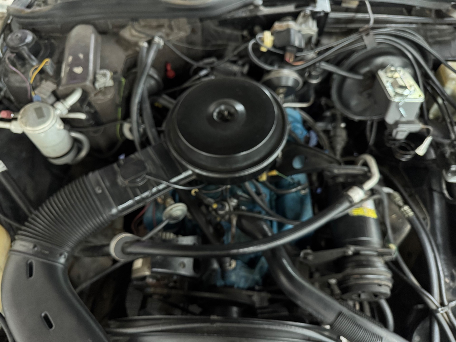 Used 1979 Chevrolet Caprice - 2 DOOR AERO-COUPE - CLEAN SOUTHERN VEHICLE -SEE VIDEO | Mundelein, IL
