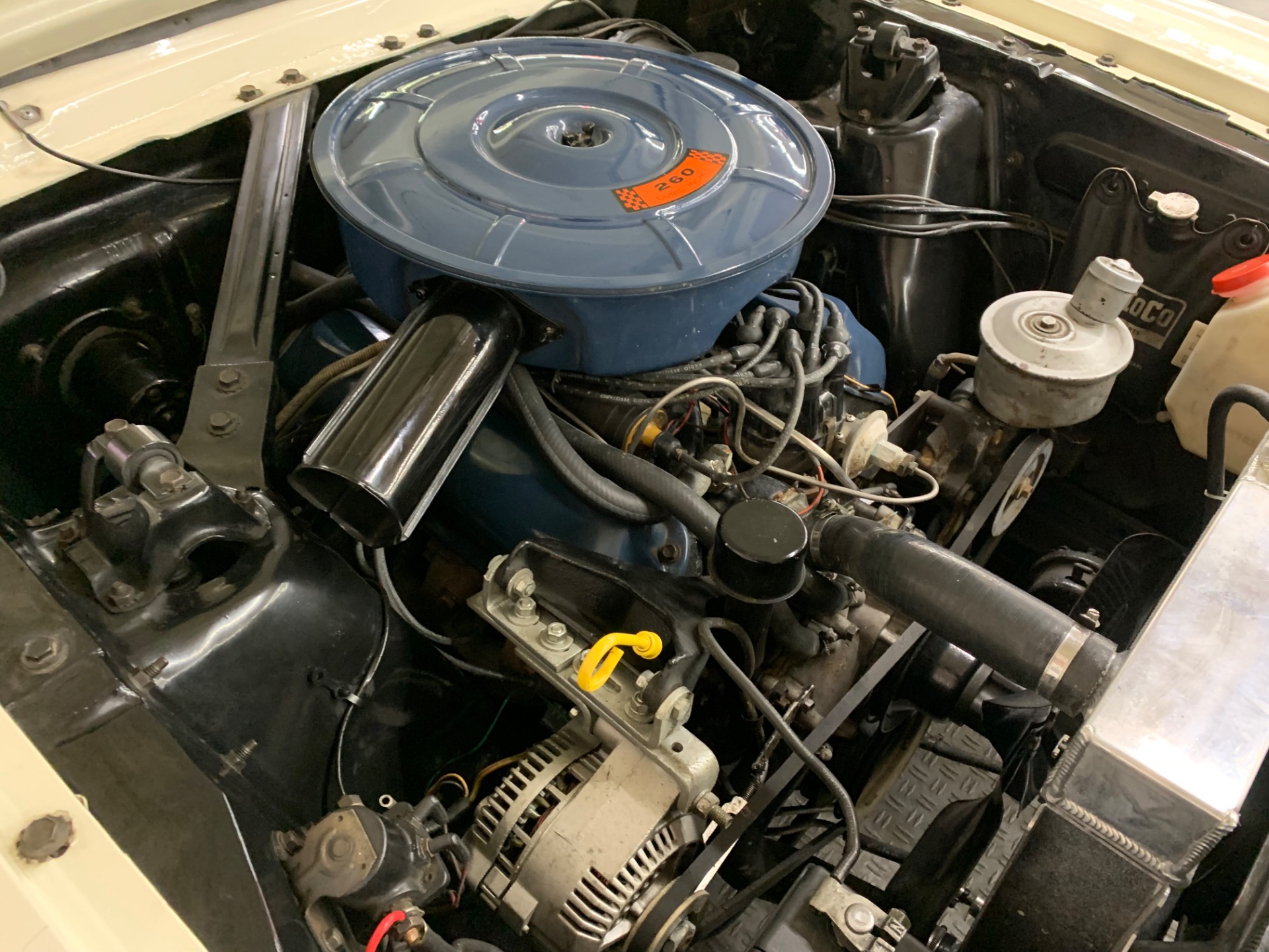Used 1965 Ford Mustang 260 V8-2 OWNER -NICELY RESTORED-SEE VIDEO | Mundelein, IL