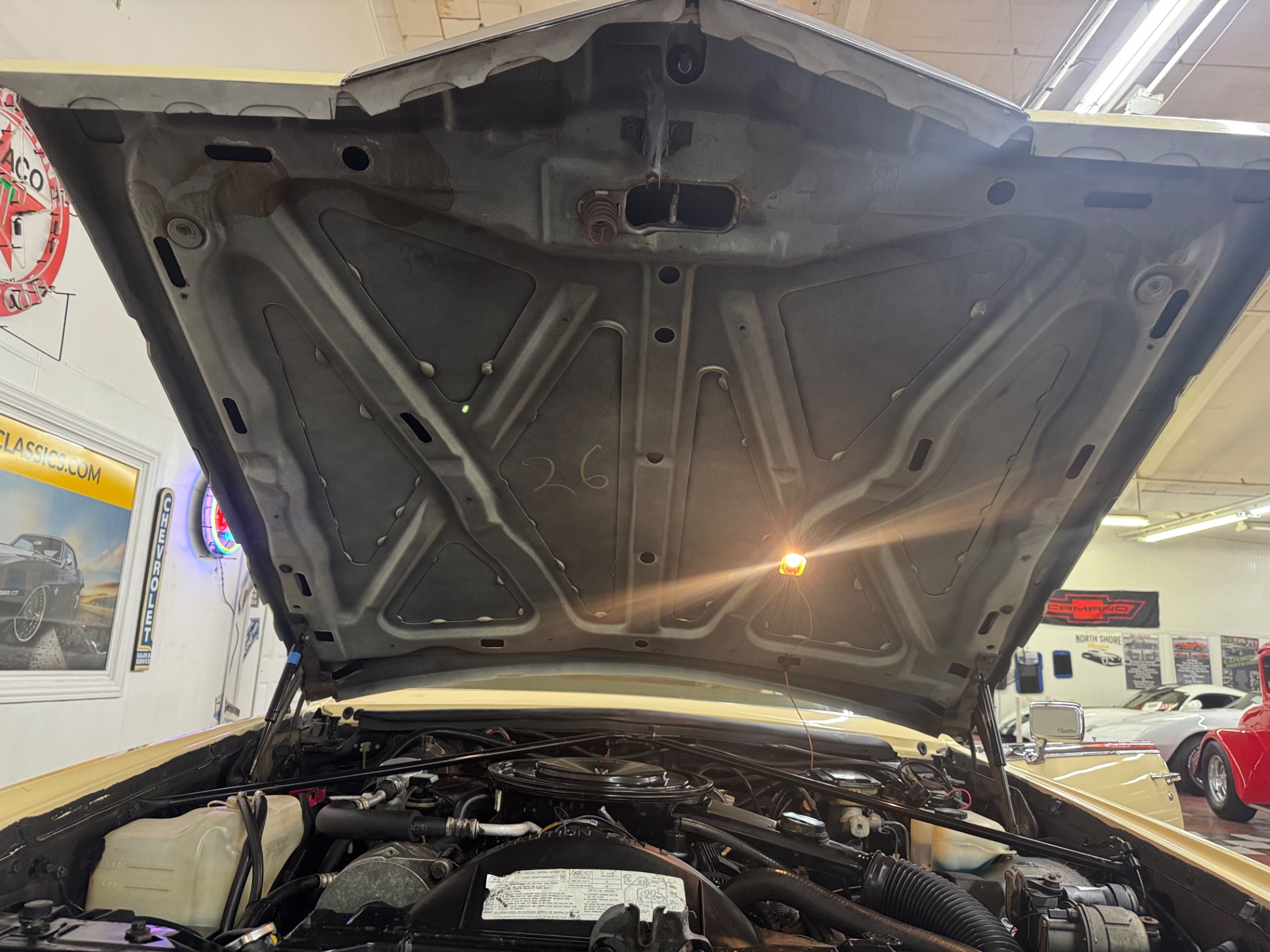 Used 1985 Cadillac Eldorado Stainless Roof Low Miles | Mundelein, IL