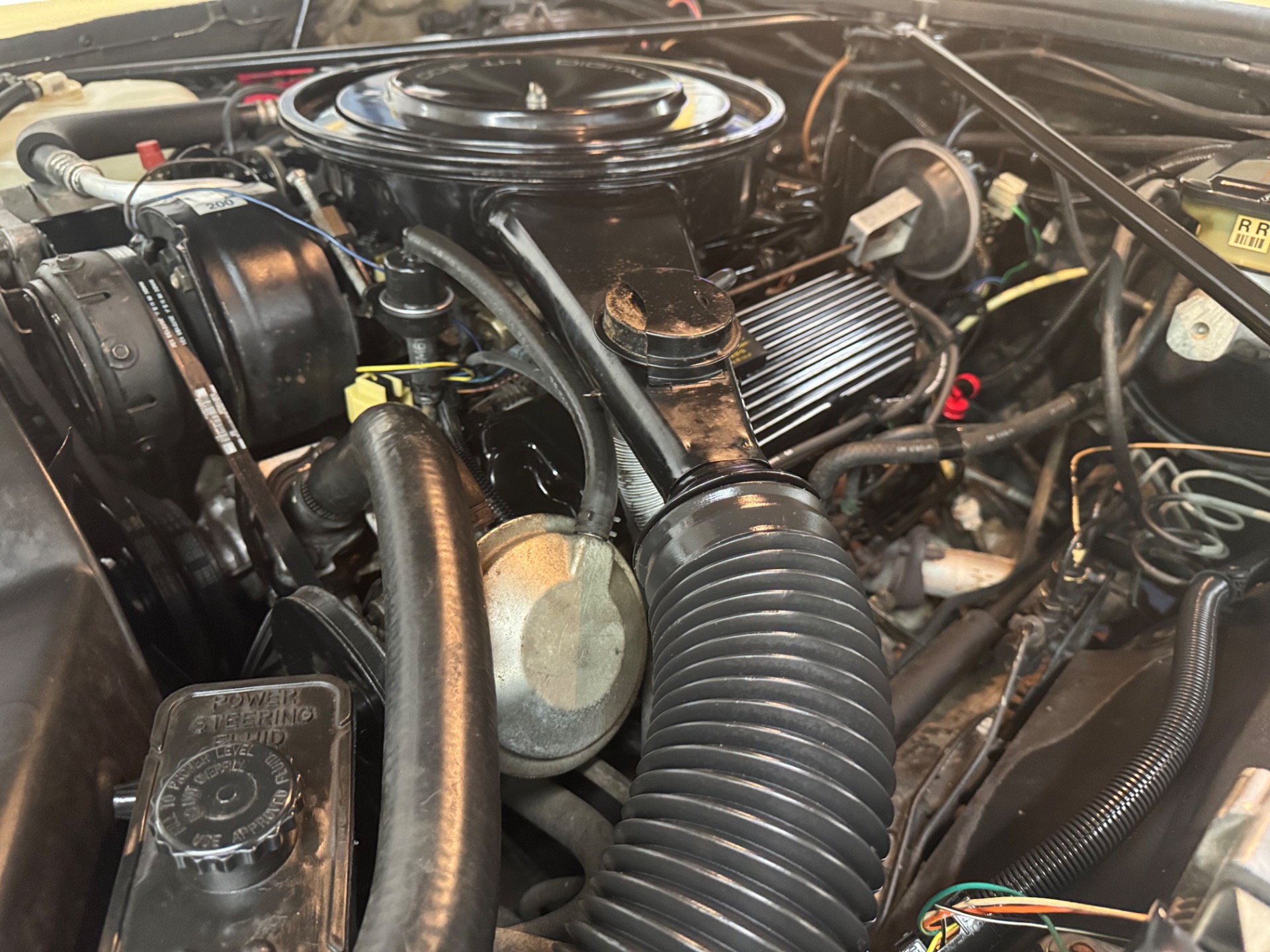 Used 1985 Cadillac Eldorado Stainless Roof Low Miles | Mundelein, IL