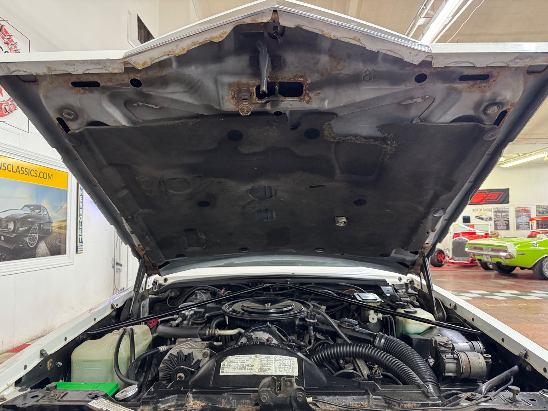 Used 1985 Cadillac Seville Low Miles Highly Original Caddy-SEE VIDEO | Mundelein, IL