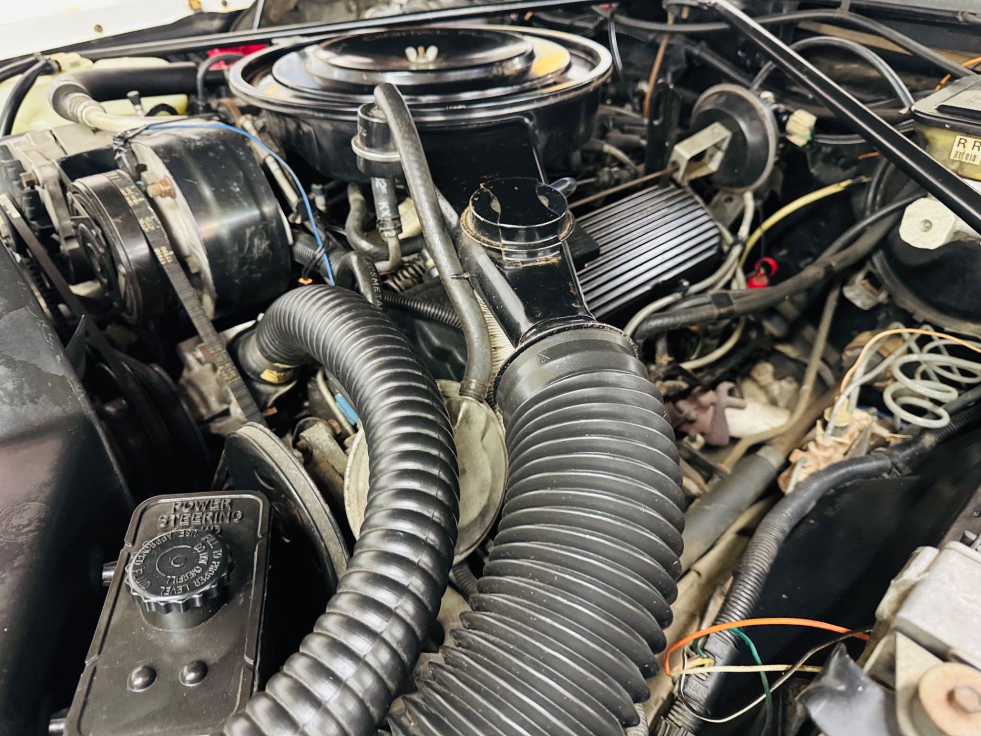 Used 1985 Cadillac Seville Low Miles Highly Original Caddy-SEE VIDEO | Mundelein, IL