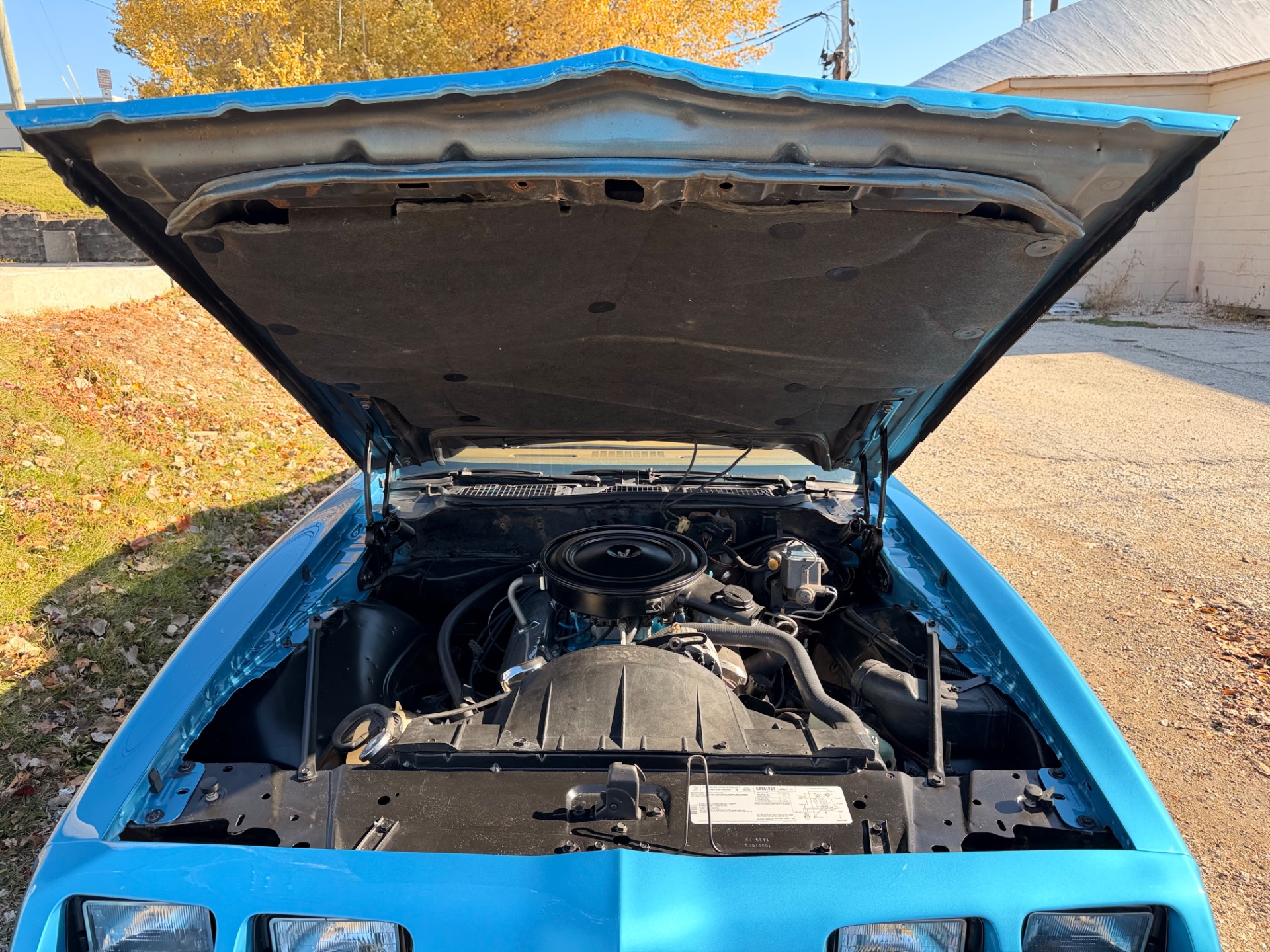 Used 1979 Pontiac Firebird - FORMULA - WS6 - | Mundelein, IL