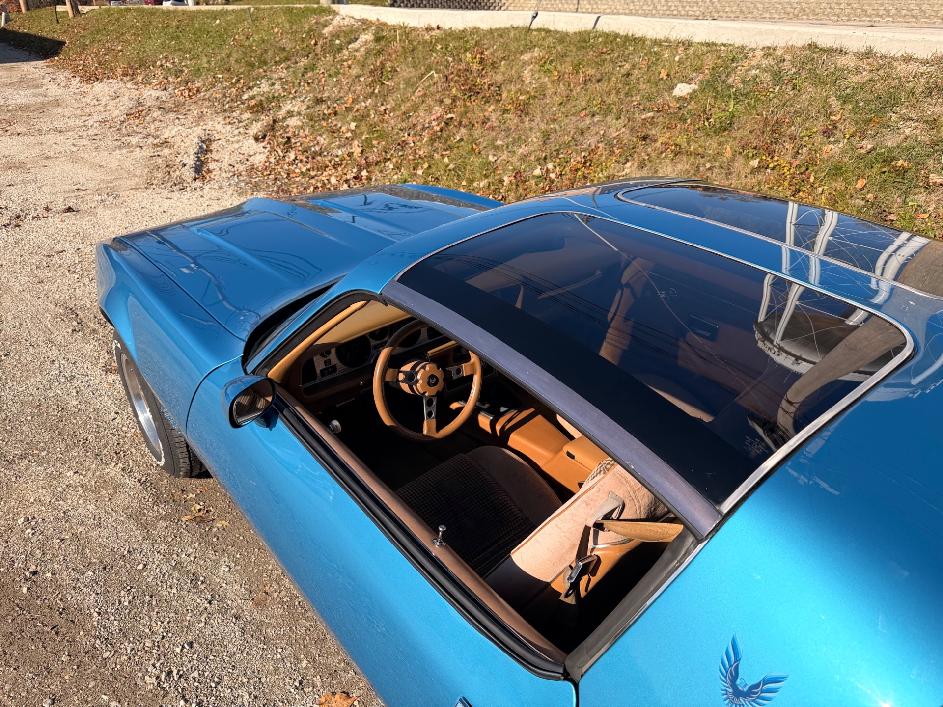 1979 Pontiac Firebird 74