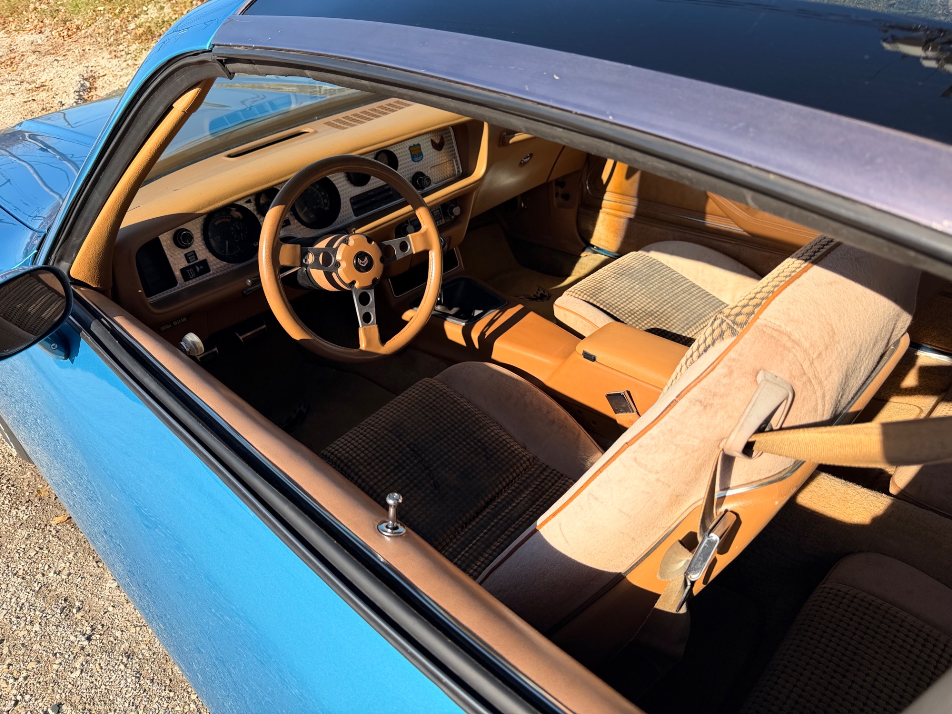 1979 Pontiac Firebird 75