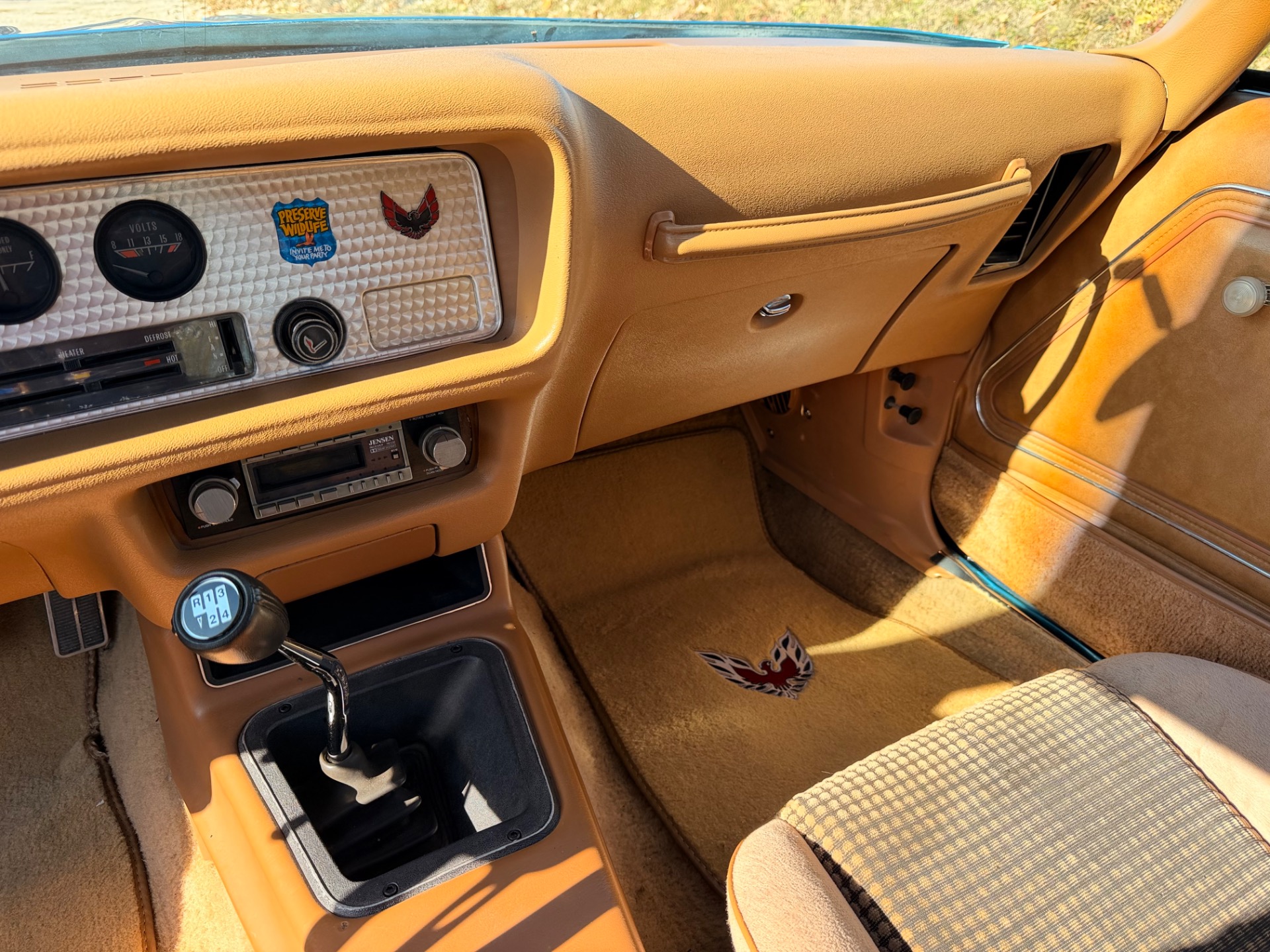 1979 Pontiac Firebird 77