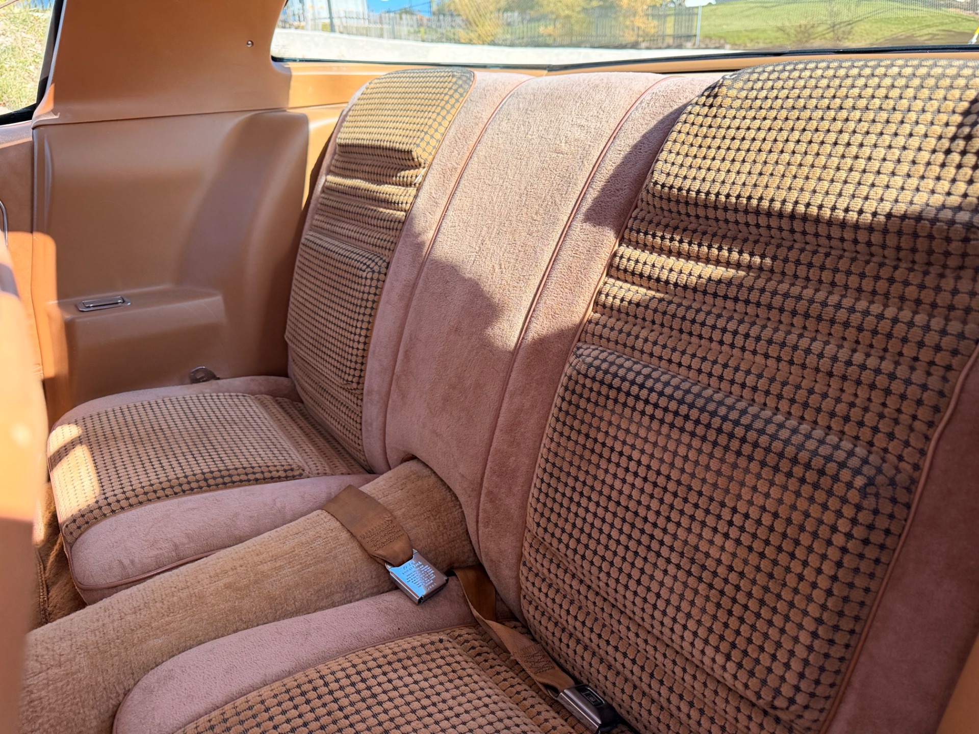1979 Pontiac Firebird 81