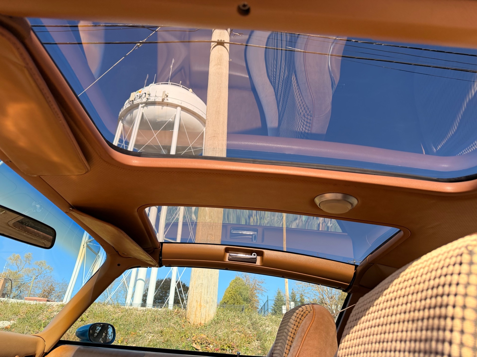1979 Pontiac Firebird 82