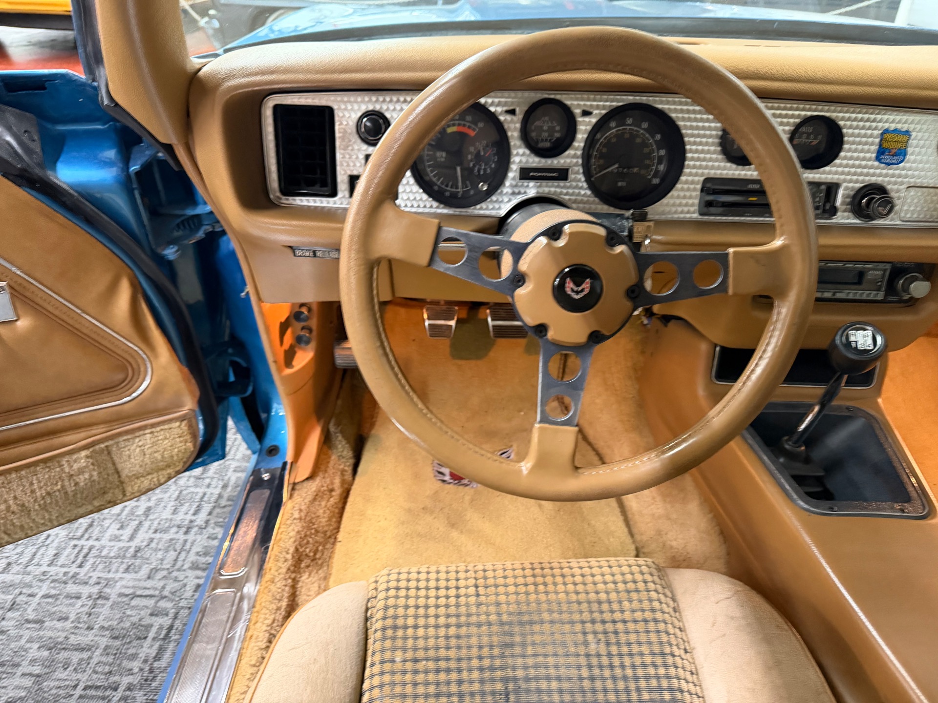 1979 Pontiac Firebird 95