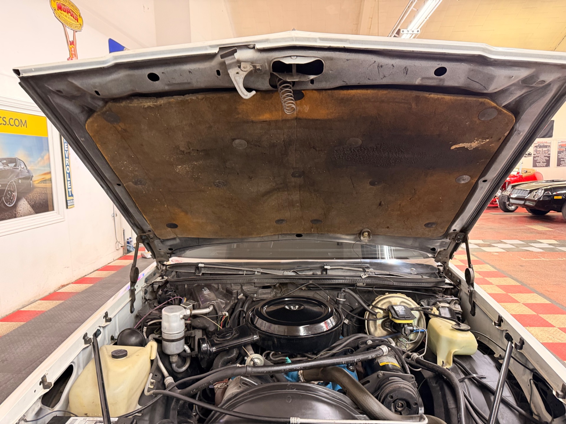 Used 1978 Oldsmobile Cutlass Salon - Original Survivor -  Low Miles - Very Clean -SEE VIDEO | Mundelein, IL