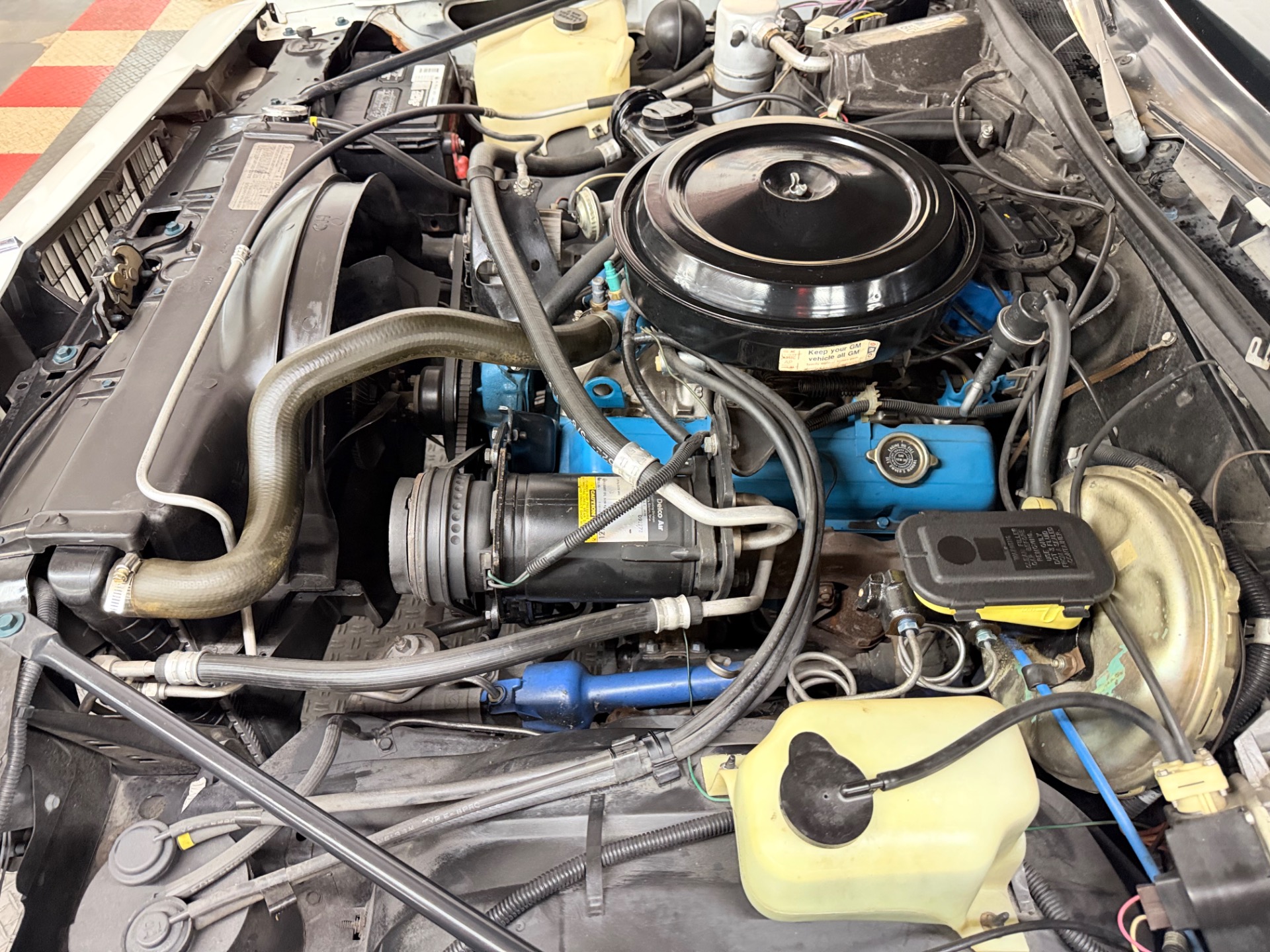 Used 1978 Oldsmobile Cutlass Salon - Original Survivor -  Low Miles - Very Clean -SEE VIDEO | Mundelein, IL